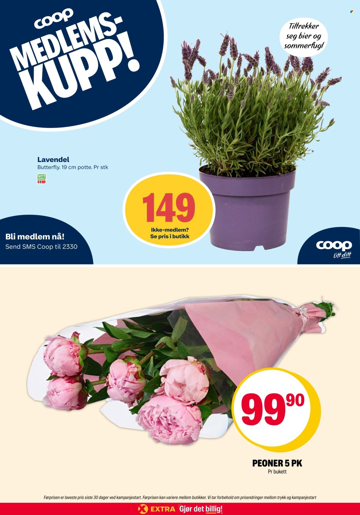 COOP EXTRA kundeavis - Uke 24