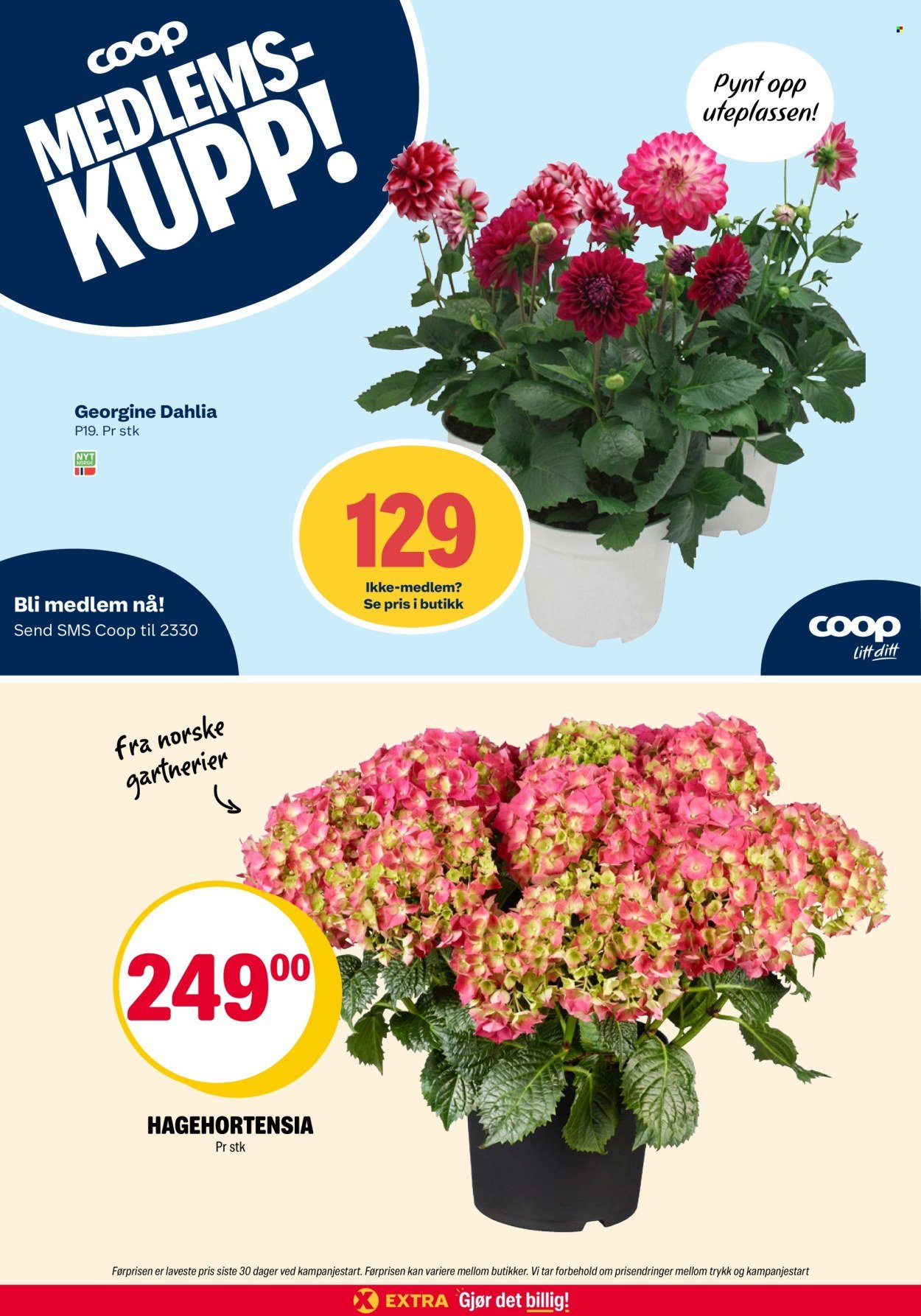COOP EXTRA kundeavis - Uke 22 (2026-05-25 - 2026-05-31)