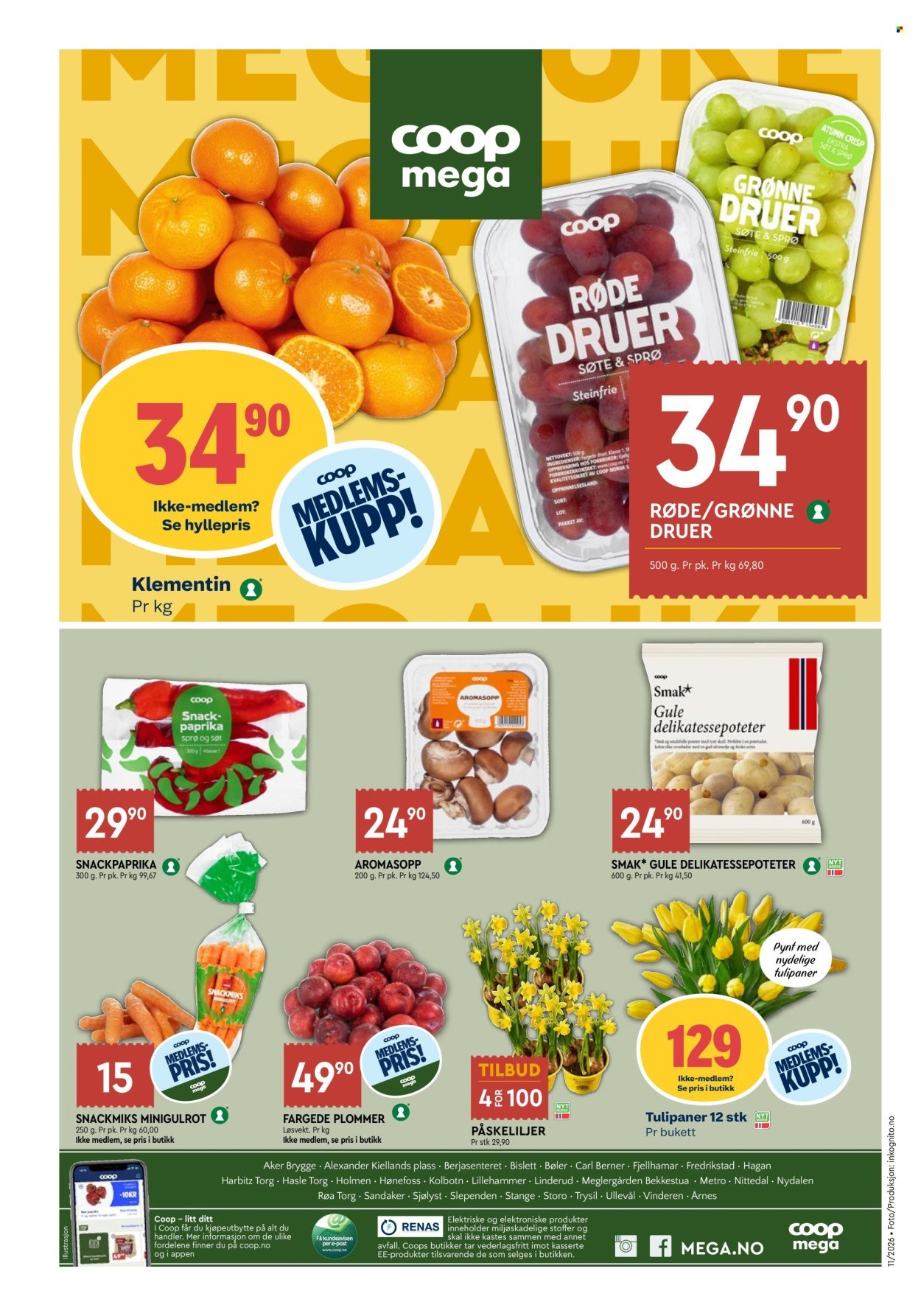 COOP MEGA kundeavis - Uke 11 (2026-03-09 - 2026-03-14)