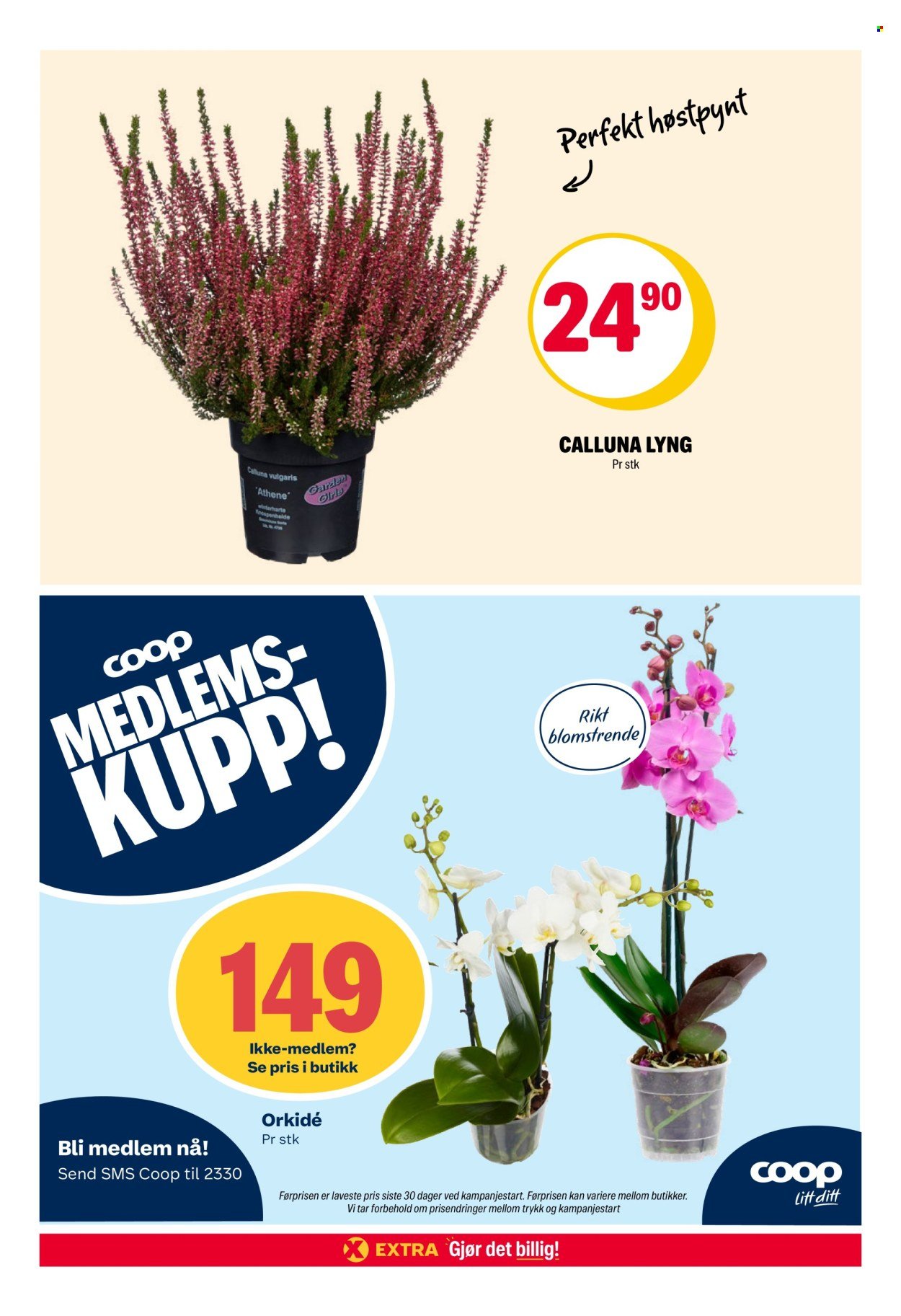 COOP EXTRA kundeavis - Uke 39