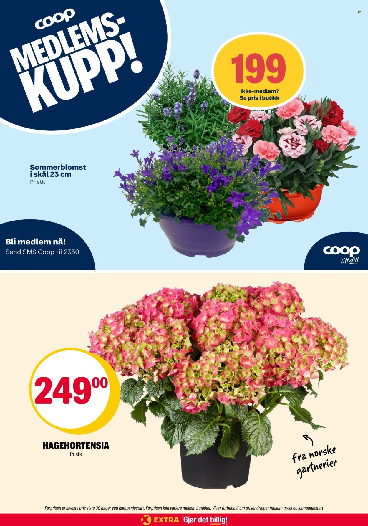 COOP EXTRA kundeavis - Uke 20 (2026-05-11 - 2026-05-17)