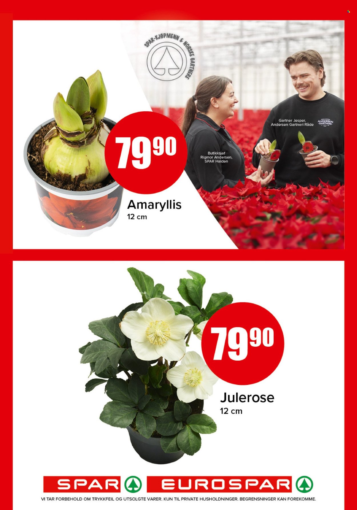 SPAR kundeavis - SPAR, EUROSPAR (2025-11-24 - 2025-11-30)