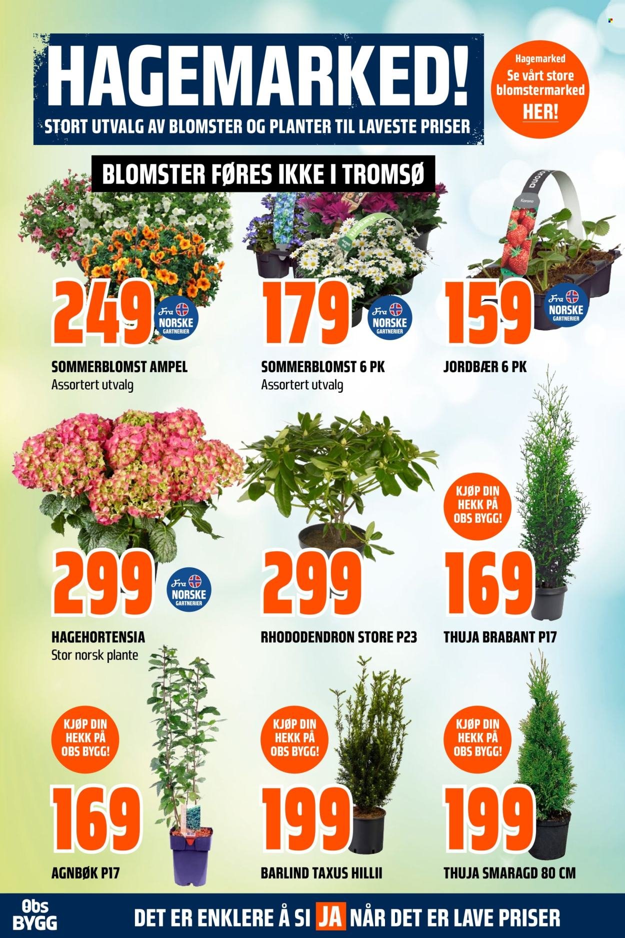 COOP OBS BYGG kundeavis - Uke 18-19 (2026-04-26 - 2026-05-09)