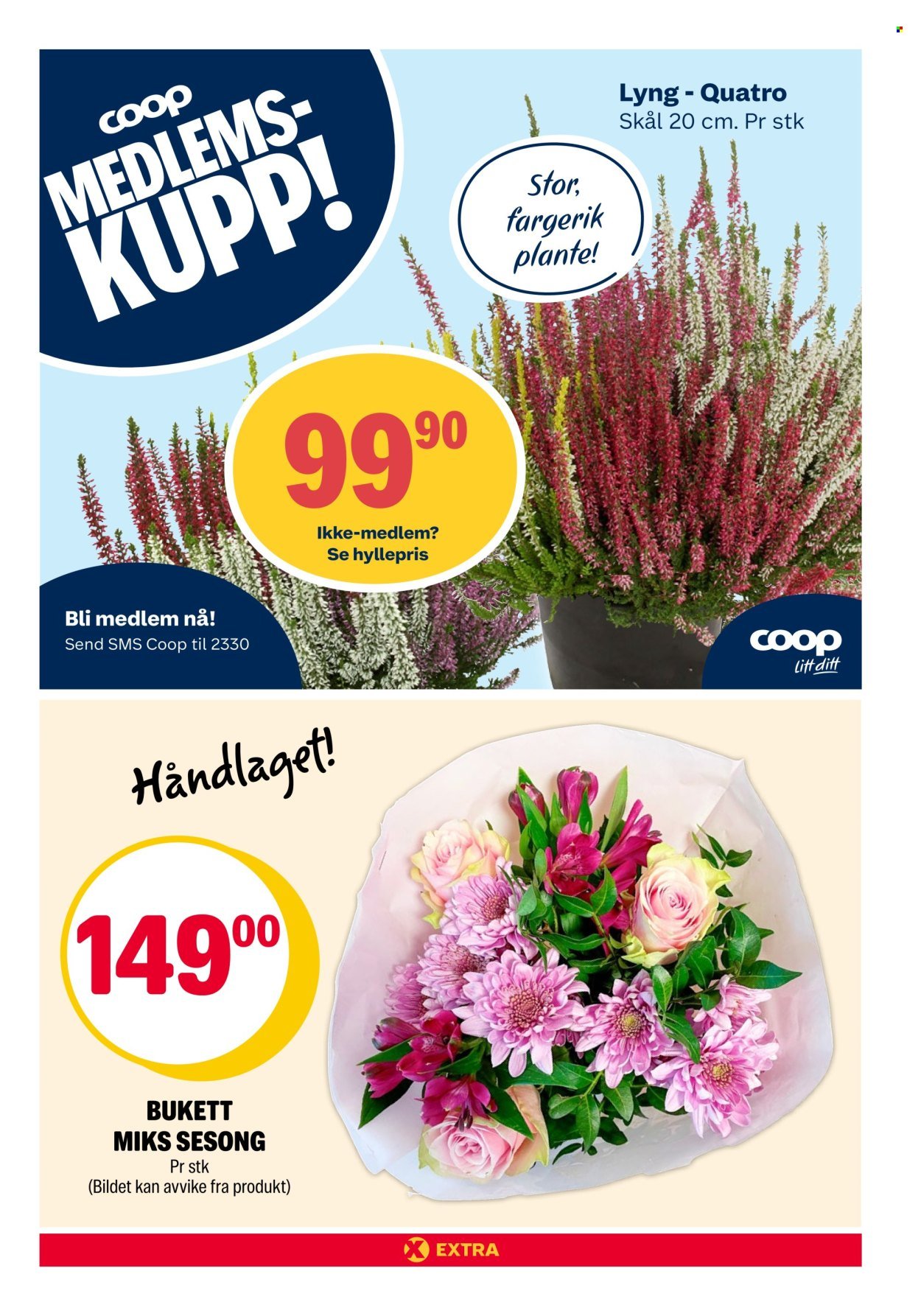 COOP EXTRA kundeavis - Uke 37 (2025-09-08 - 2025-09-14)