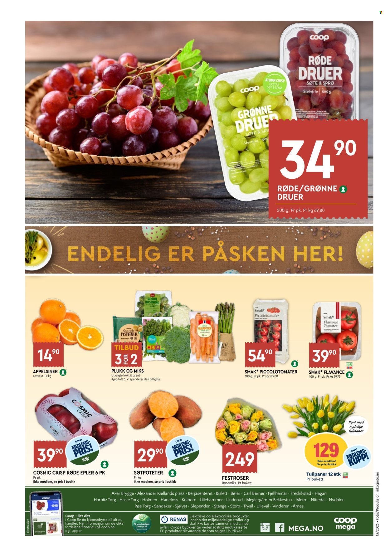 COOP MEGA kundeavis - Uke 13 (2026-03-23 - 2026-03-28)
