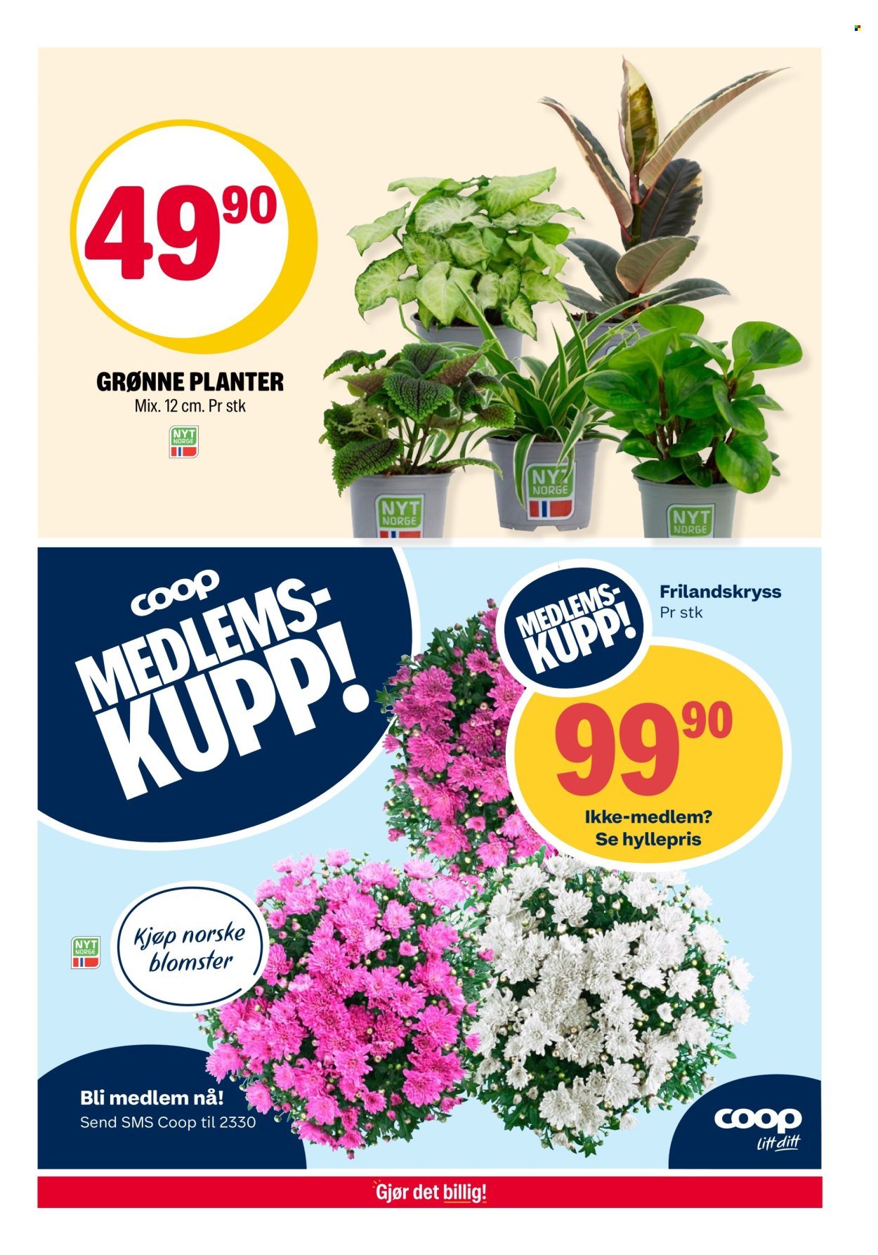 COOP EXTRA kundeavis - Uke 31 (2025-07-28 - 2025-08-03)