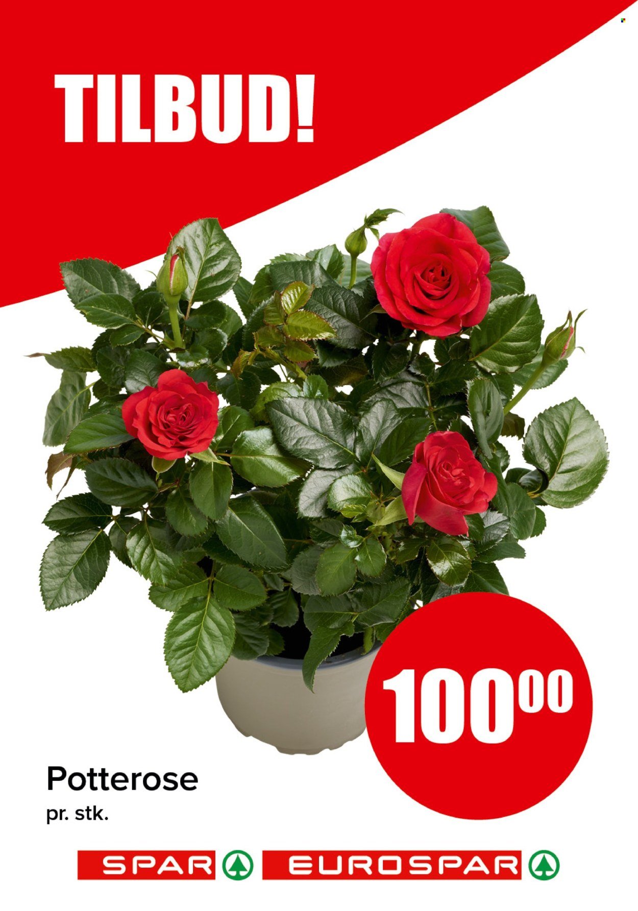 SPAR kundeavis - SPAR, EUROSPAR (2026-04-20 - 2026-04-26)