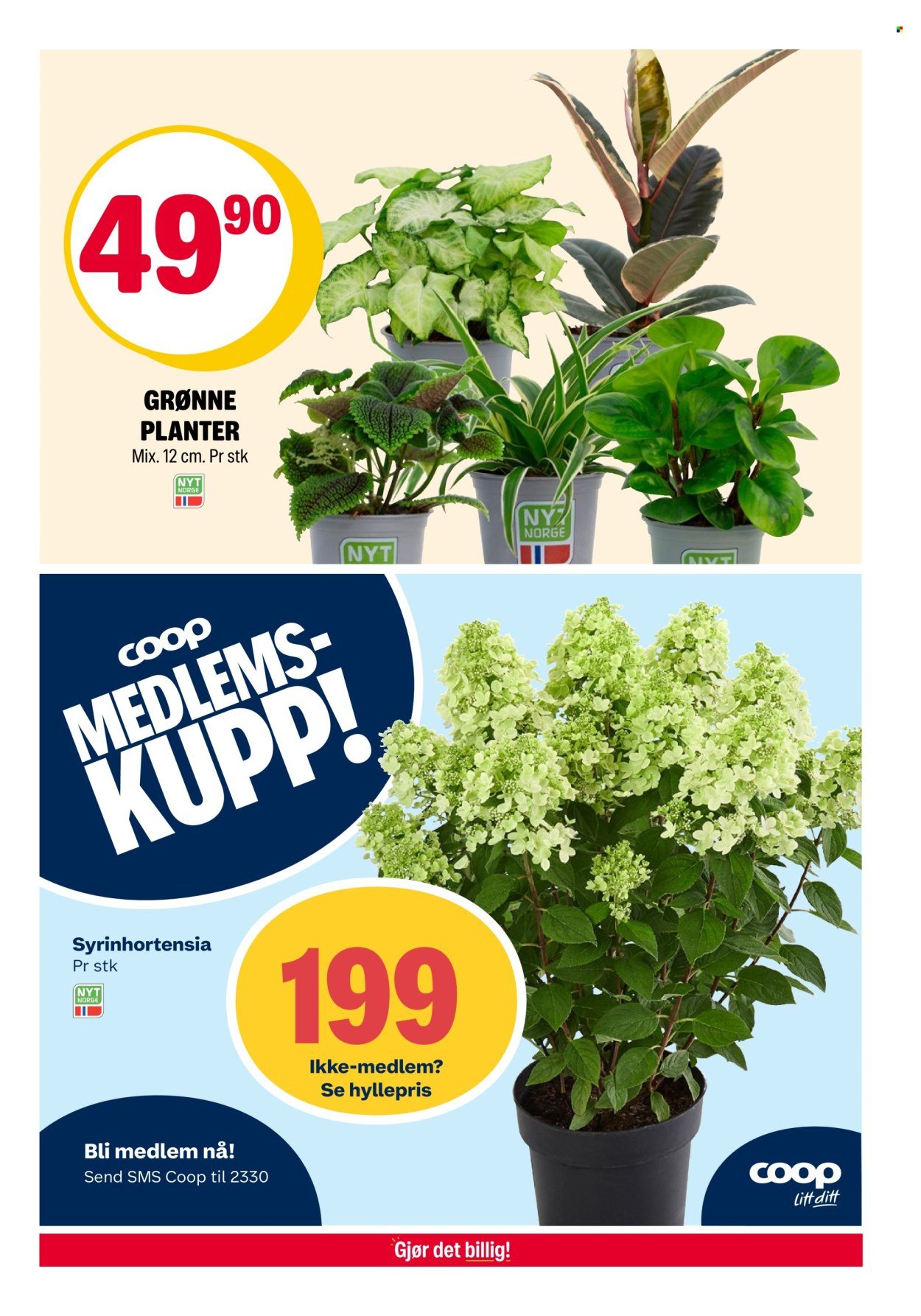 COOP EXTRA kundeavis - Uke 32 (2025-08-04 - 2025-08-10)