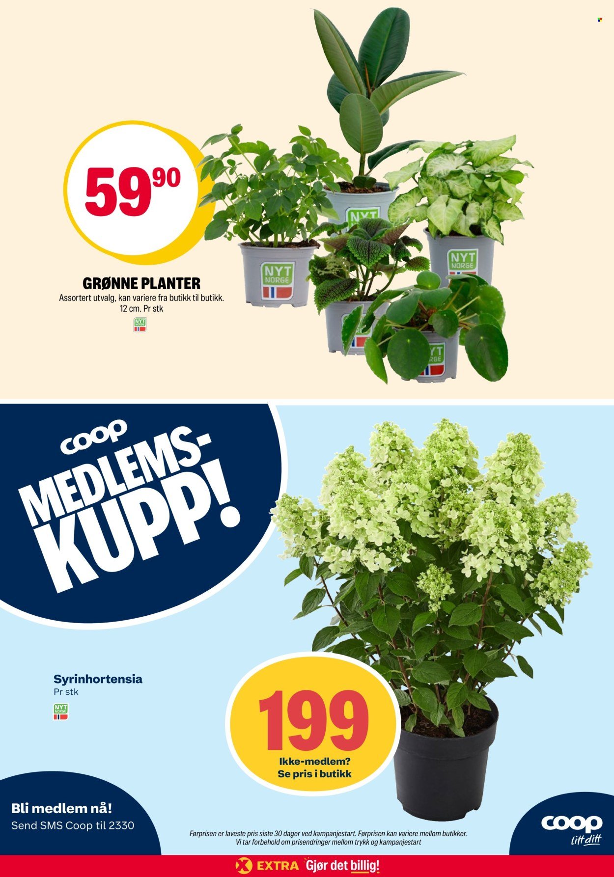 COOP EXTRA kundeavis - Uke 32