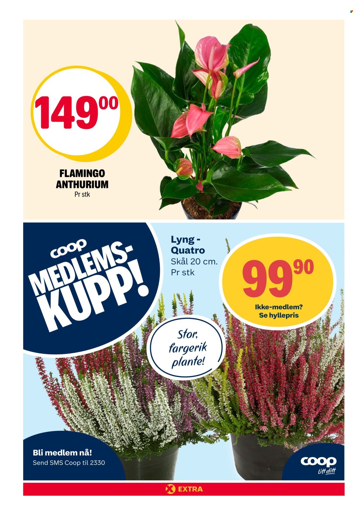 COOP EXTRA kundeavis - Uke 38 (2025-09-15 - 2025-09-21)