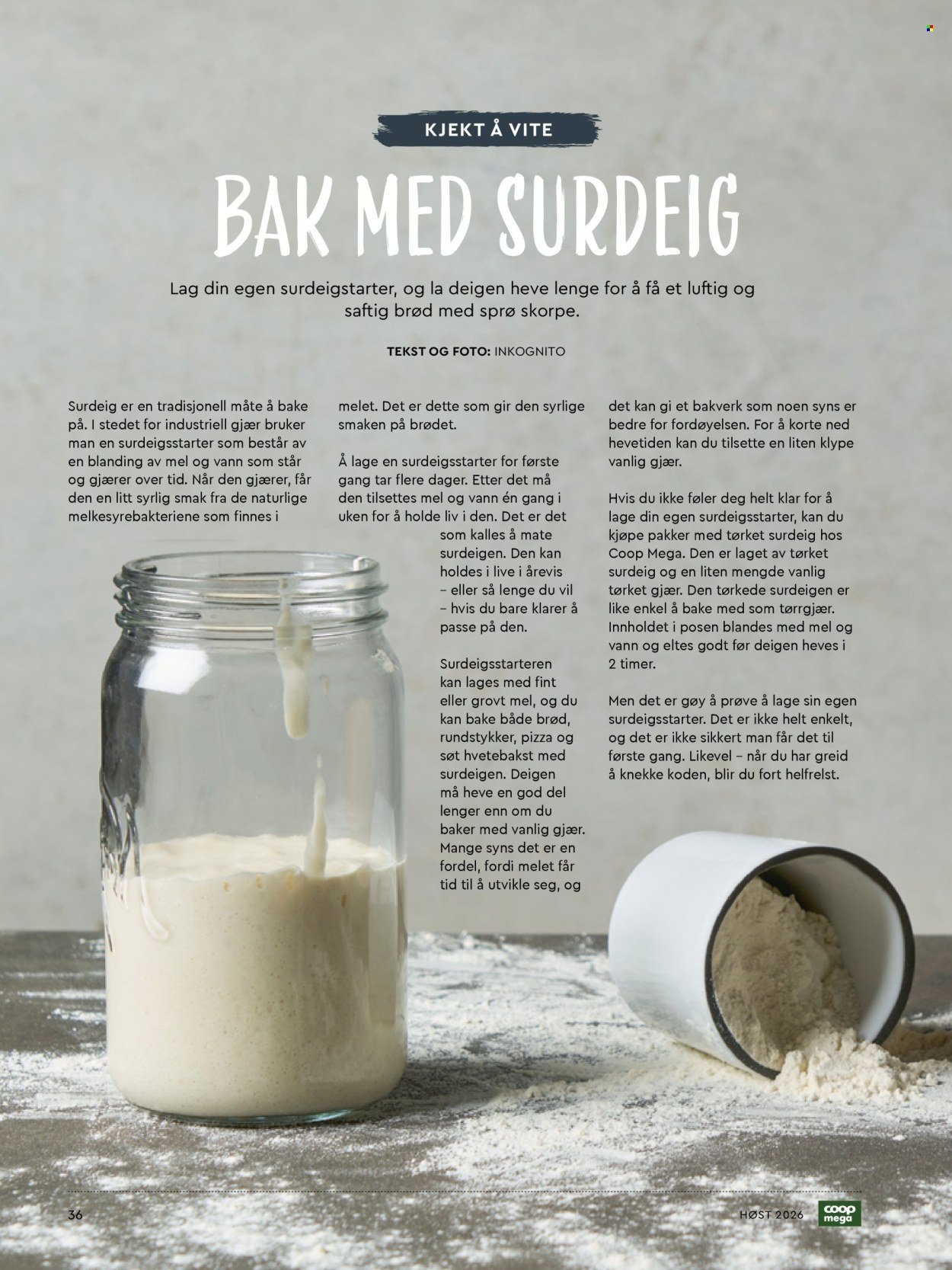 COOP MEGA kundeavis - Høstmagasin