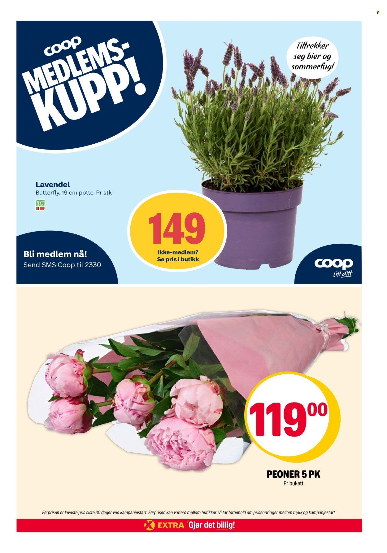 COOP EXTRA kundeavis - Uke 23