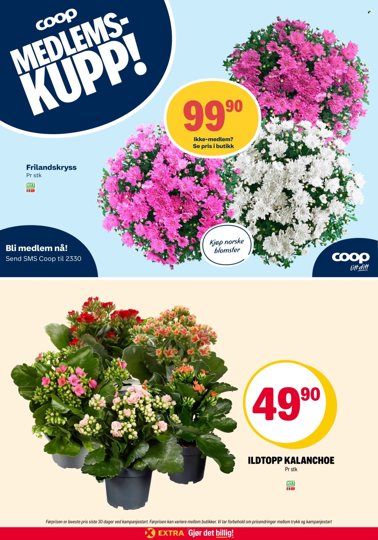COOP EXTRA kundeavis - Uke 29