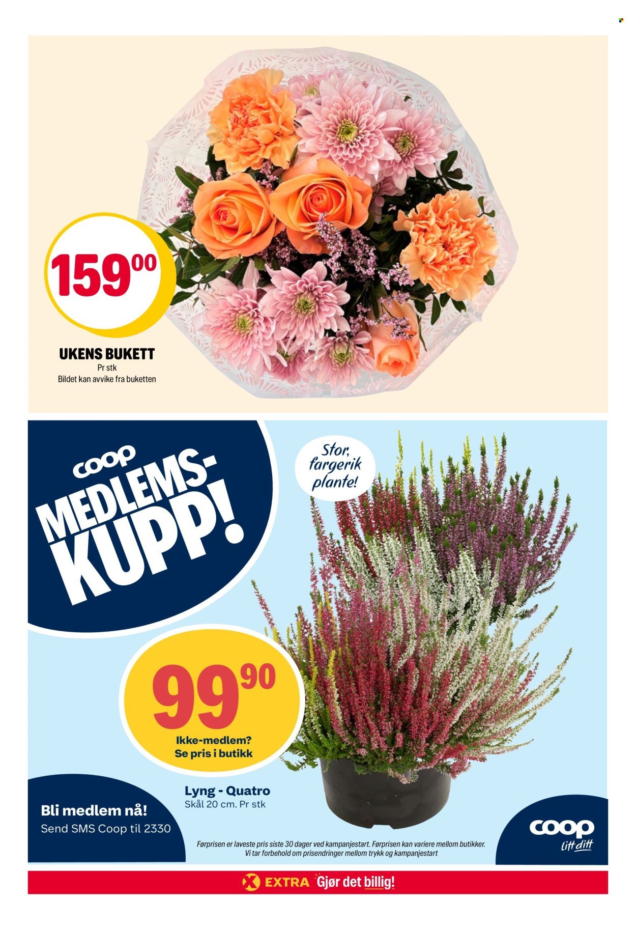 COOP EXTRA kundeavis - Uke 36