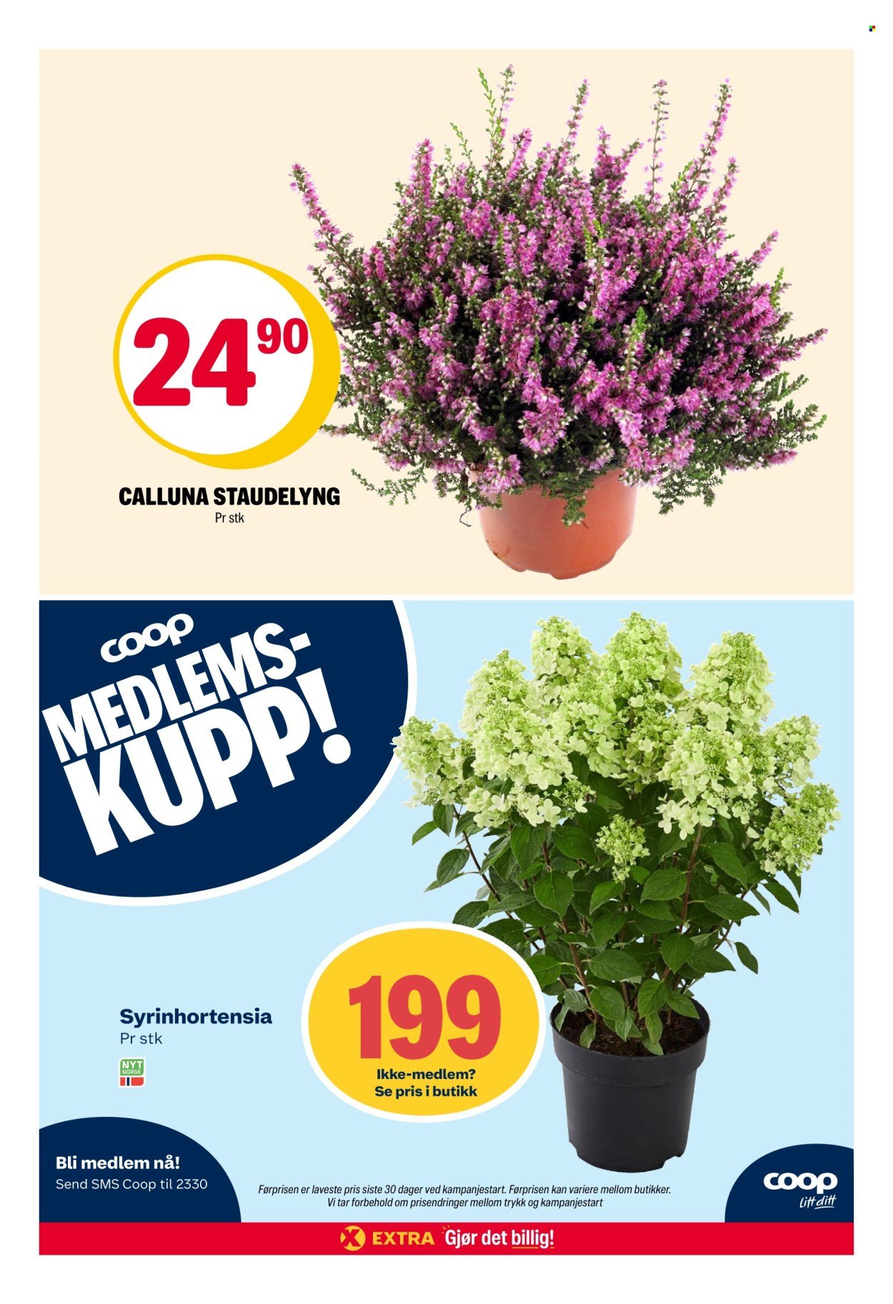 COOP EXTRA kundeavis - Uke 33