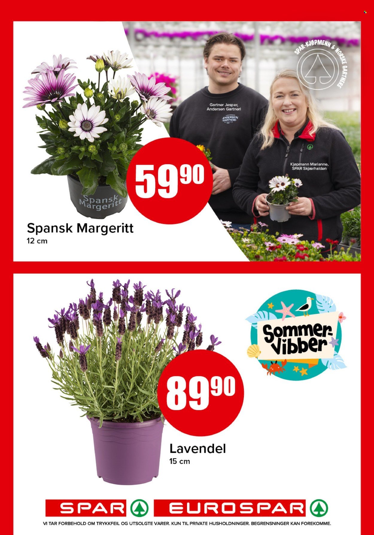 SPAR kundeavis - SPAR, EUROSPAR (2026-05-25 - 2026-05-31)
