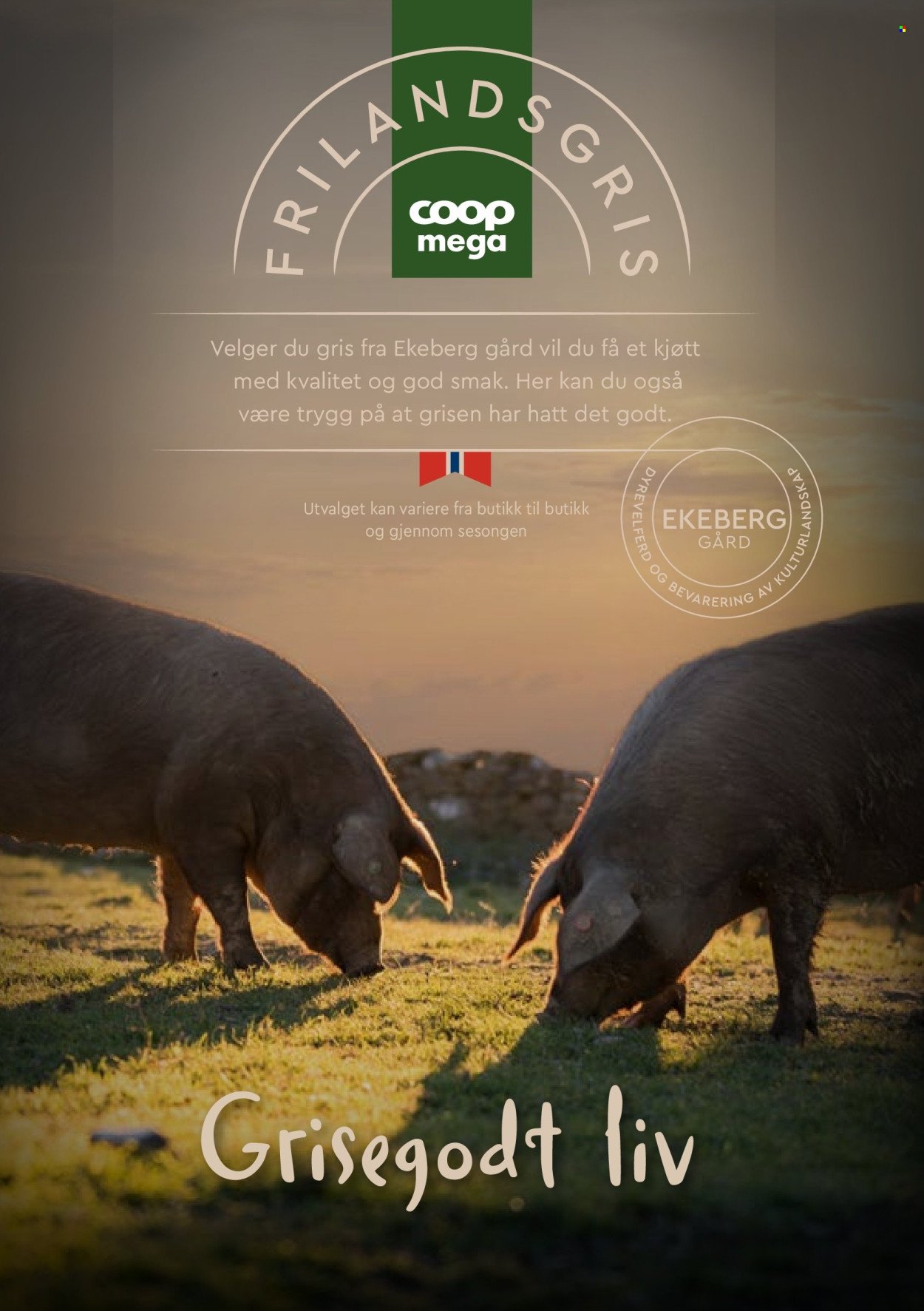 COOP MEGA kundeavis - Grillmat