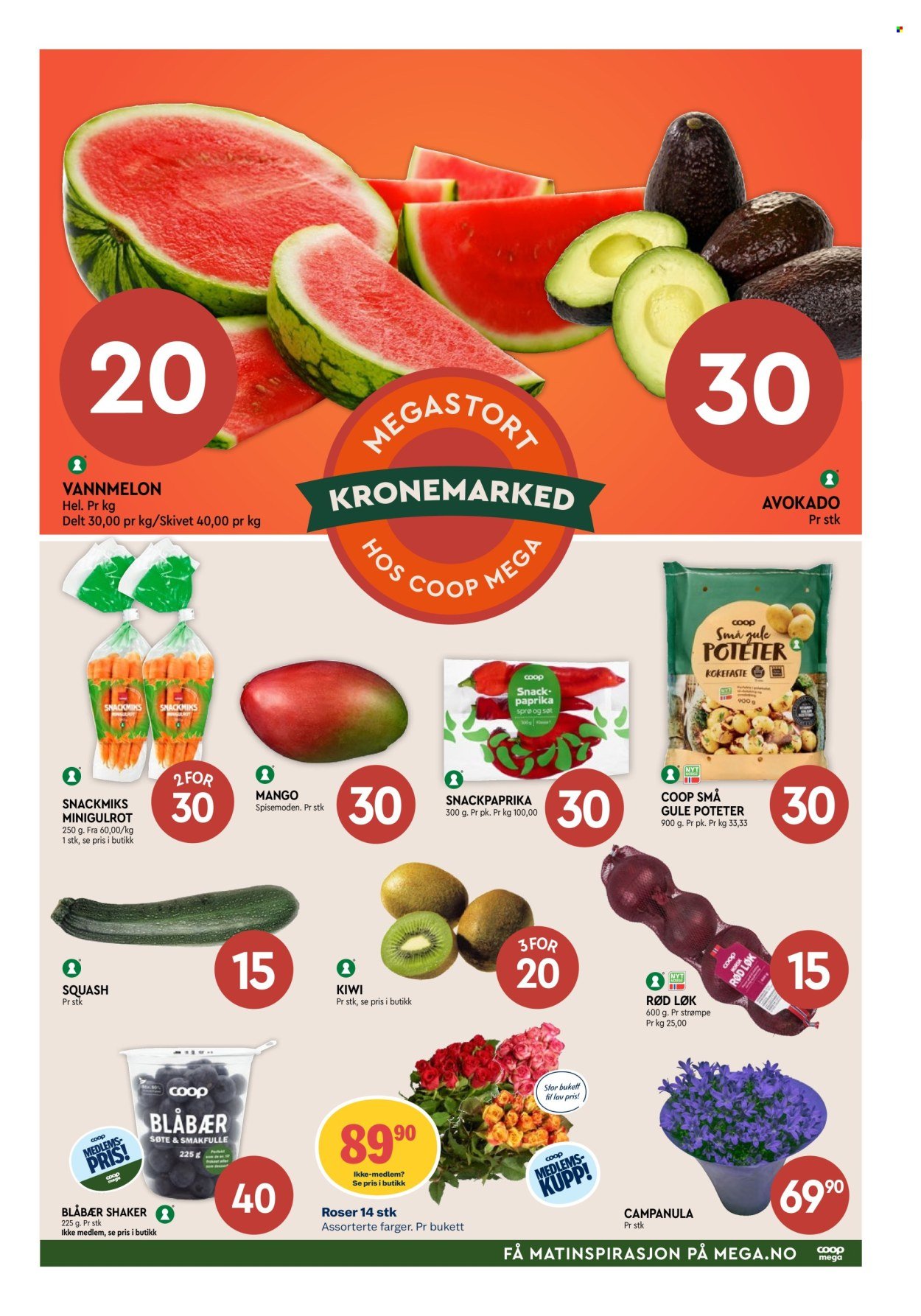 COOP MEGA kundeavis - Uke 17 (2026-04-20 - 2026-04-25)