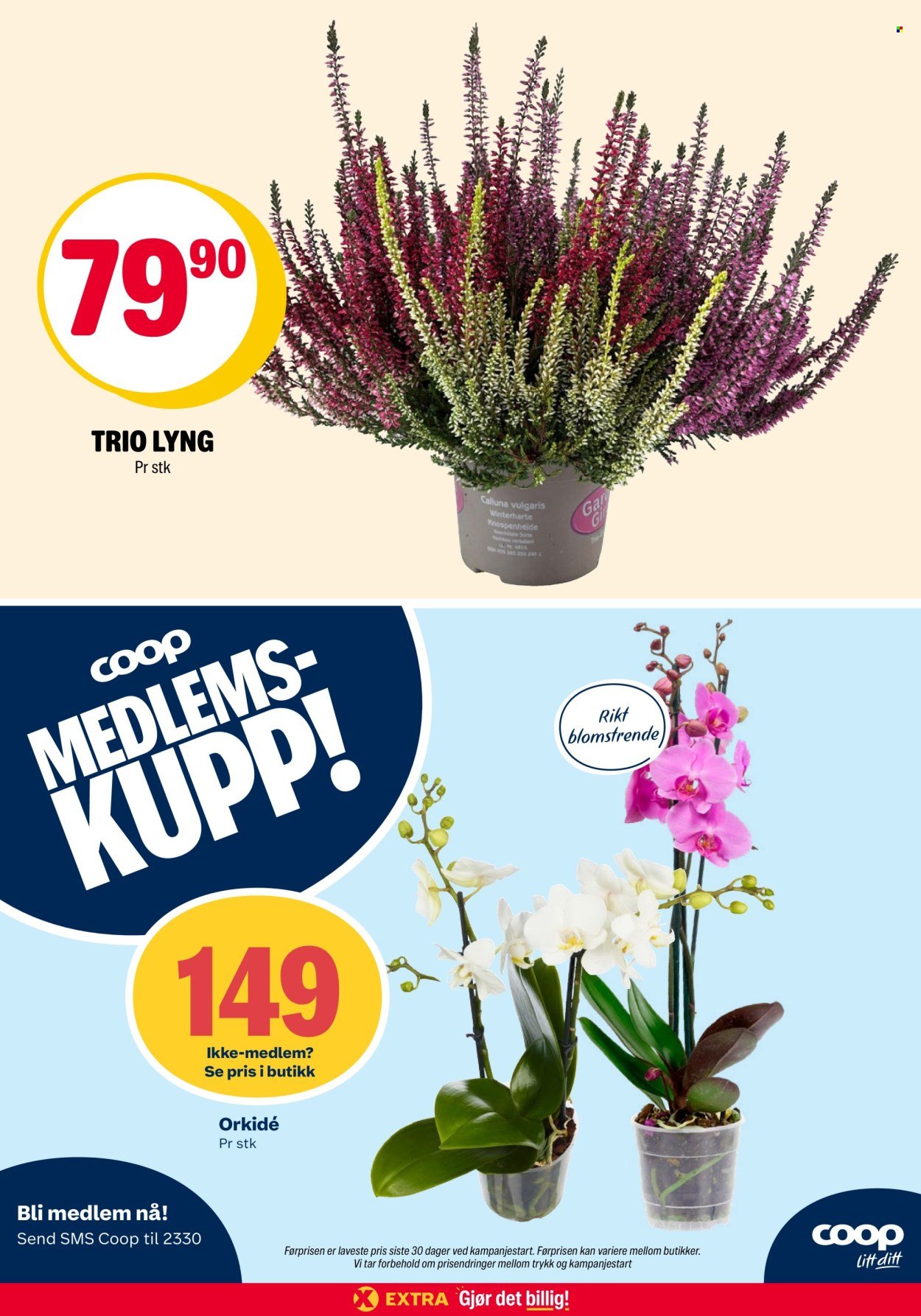 COOP EXTRA kundeavis - Uke 40