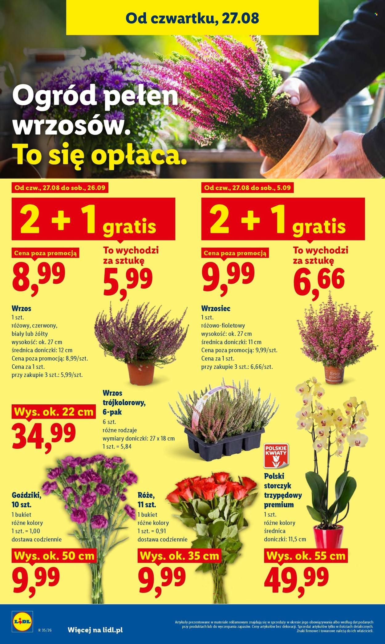 Gazetka LIDL - Od czwartku