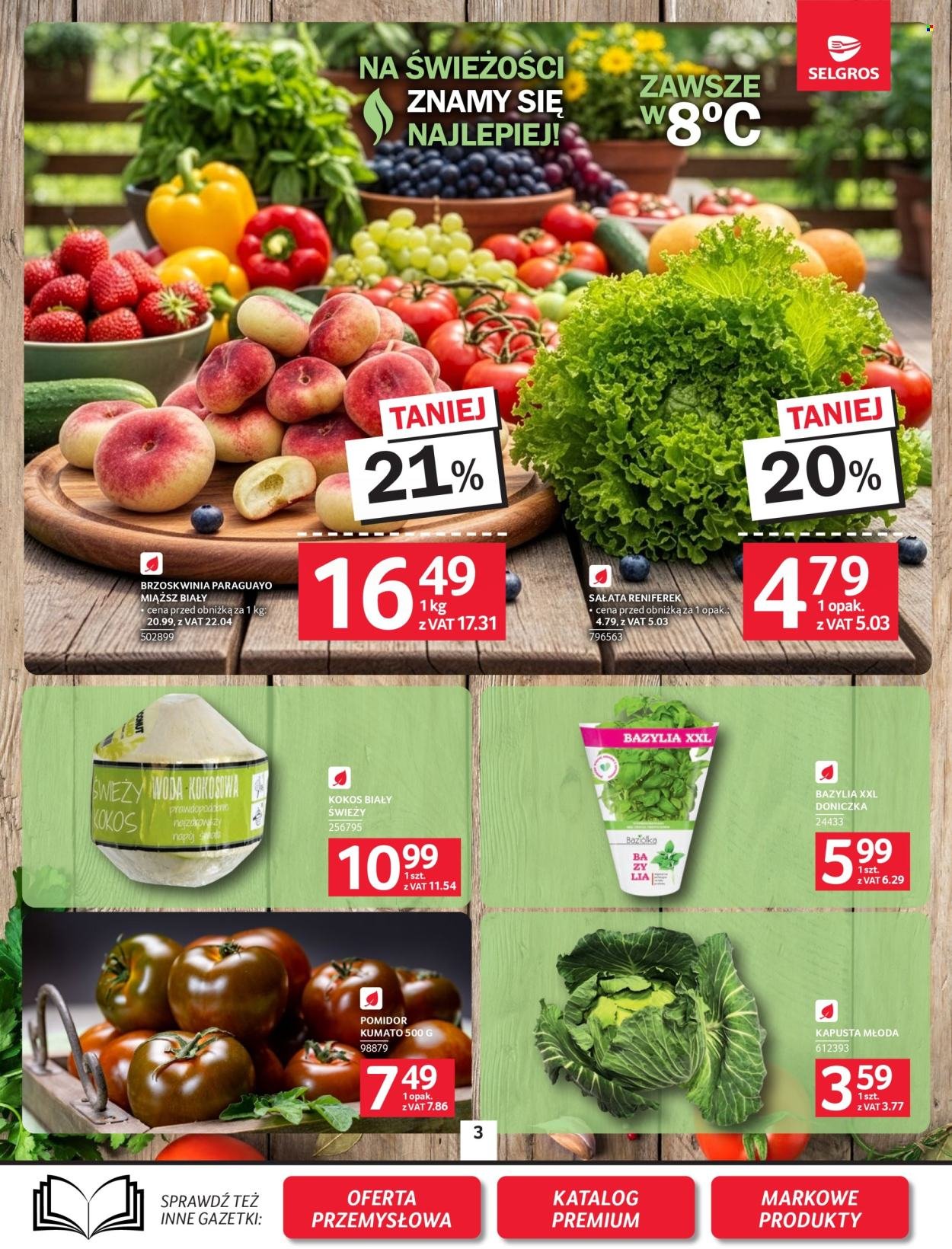 Gazetka SELGROS - Oferta Spożywcza