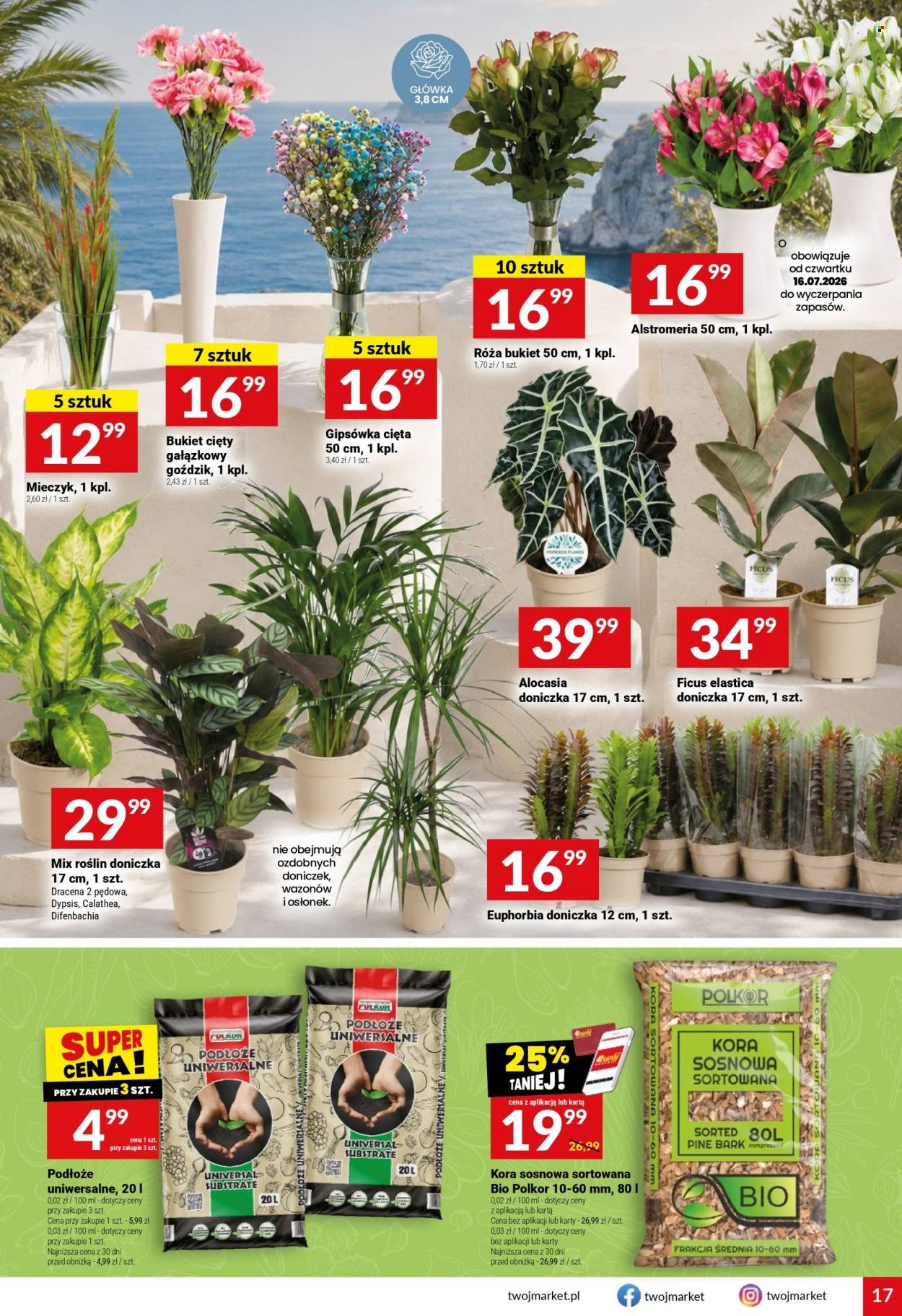 Gazetka TWÓJ MARKET - Gazetka regularna 29/26