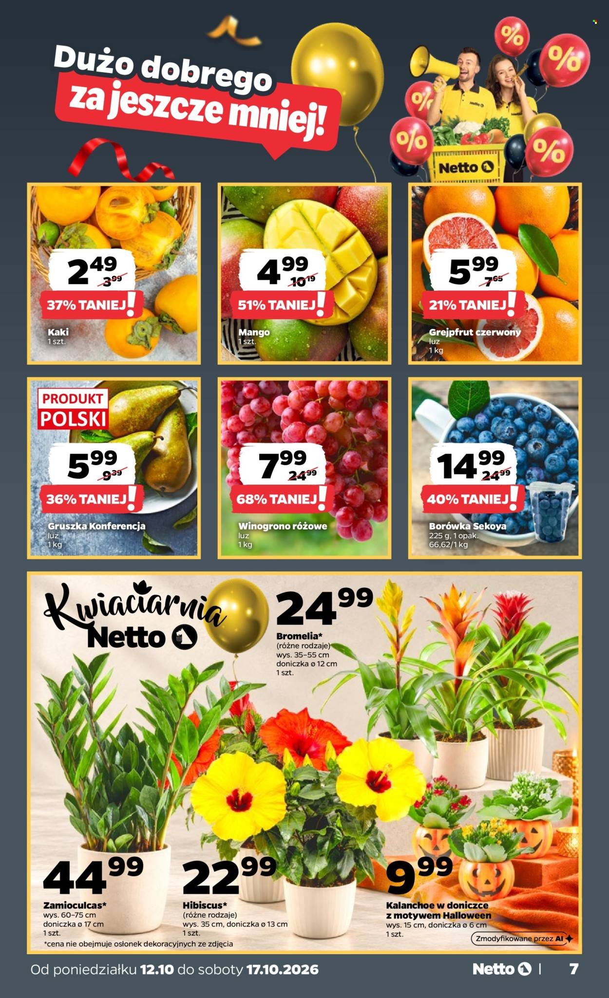 Gazetka NETTO - Od poniedziałku 12.10.2026