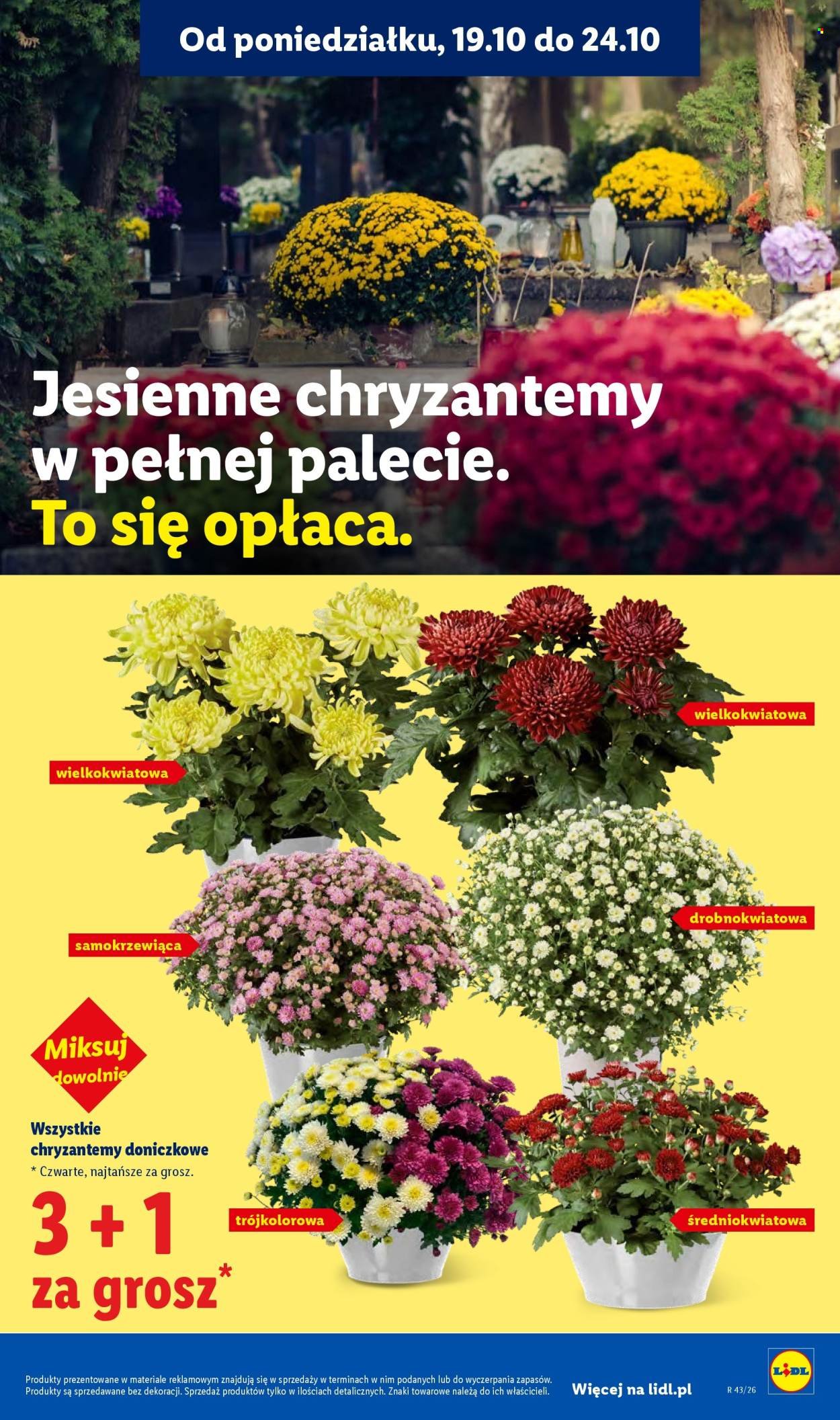 Gazetka LIDL - Od poniedziałku