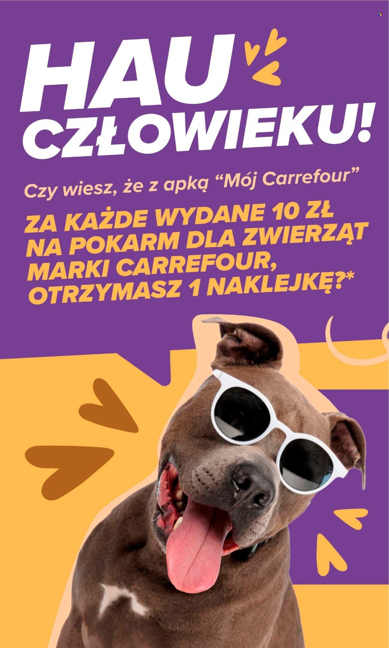 Gazetka CARREFOUR - w SUMIE pupilove