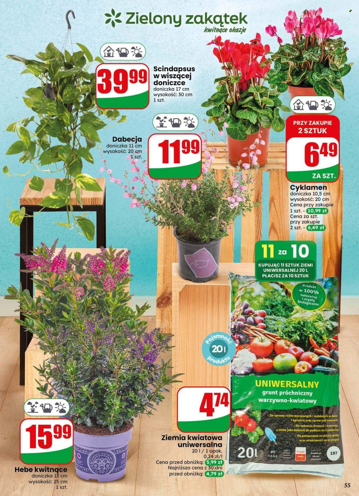 Gazetka DINO - Od środy 29.07.2026