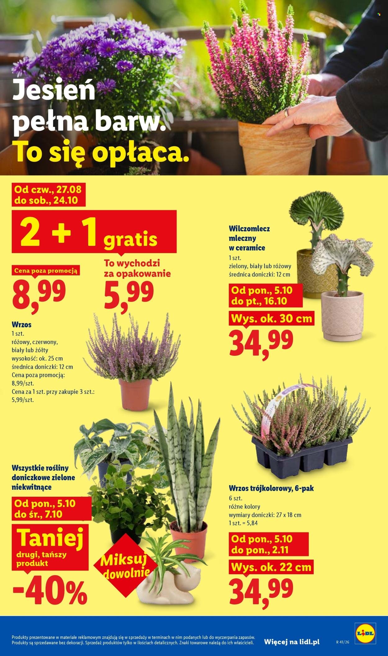 Gazetka LIDL - Od poniedziałku