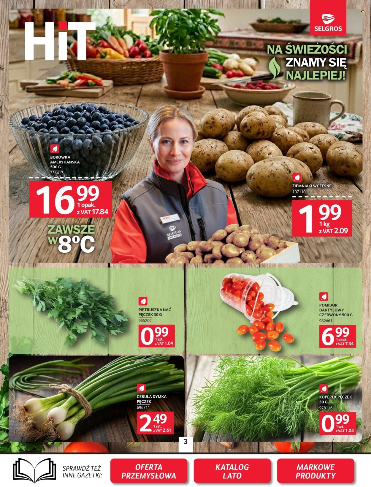 Gazetka SELGROS - Oferta spożywcza