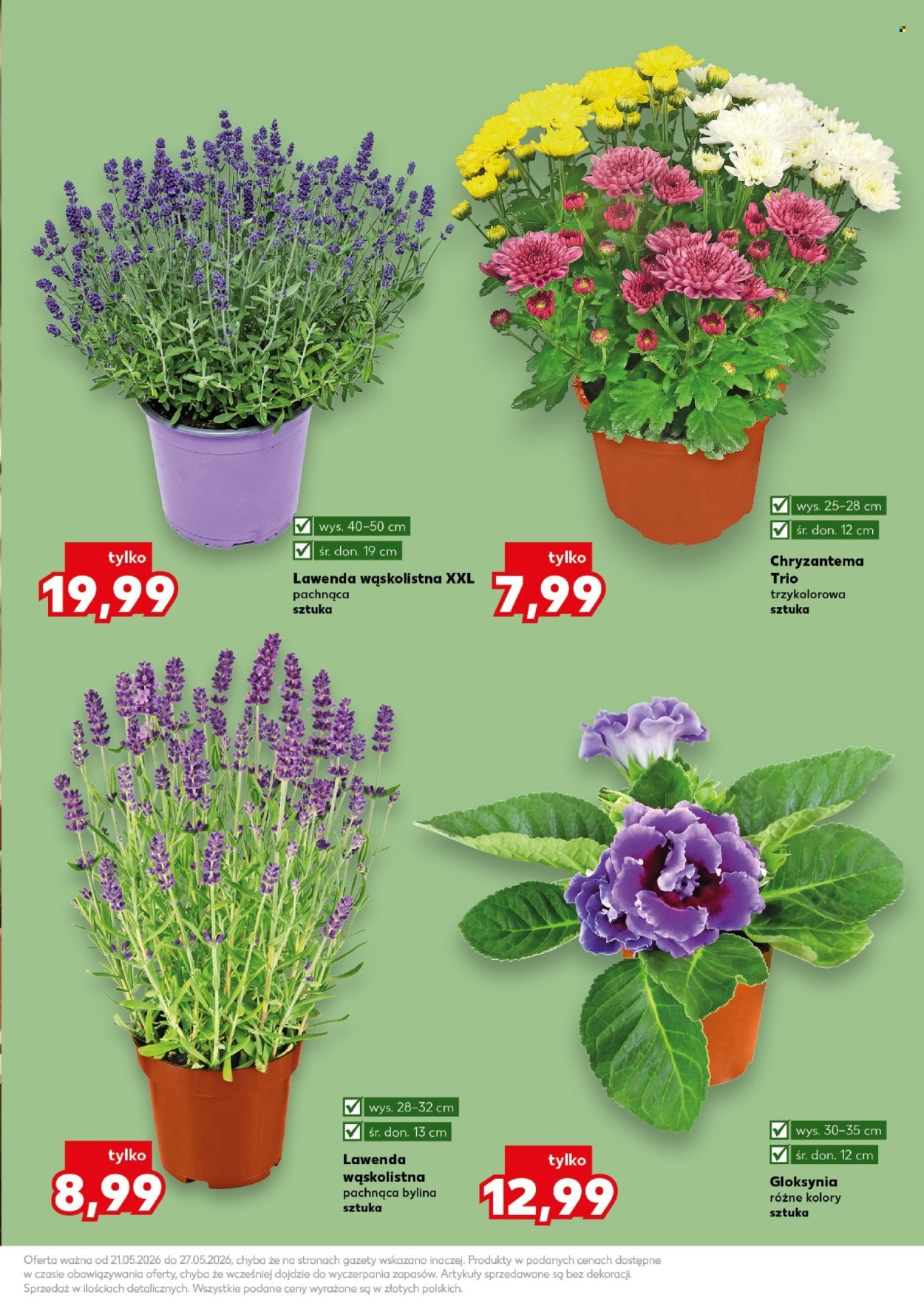 Gazetka KAUFLAND - Ogród wiosenne inspiracje