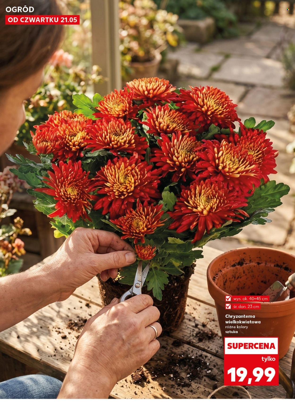 Gazetka KAUFLAND - Ogród wiosenne inspiracje