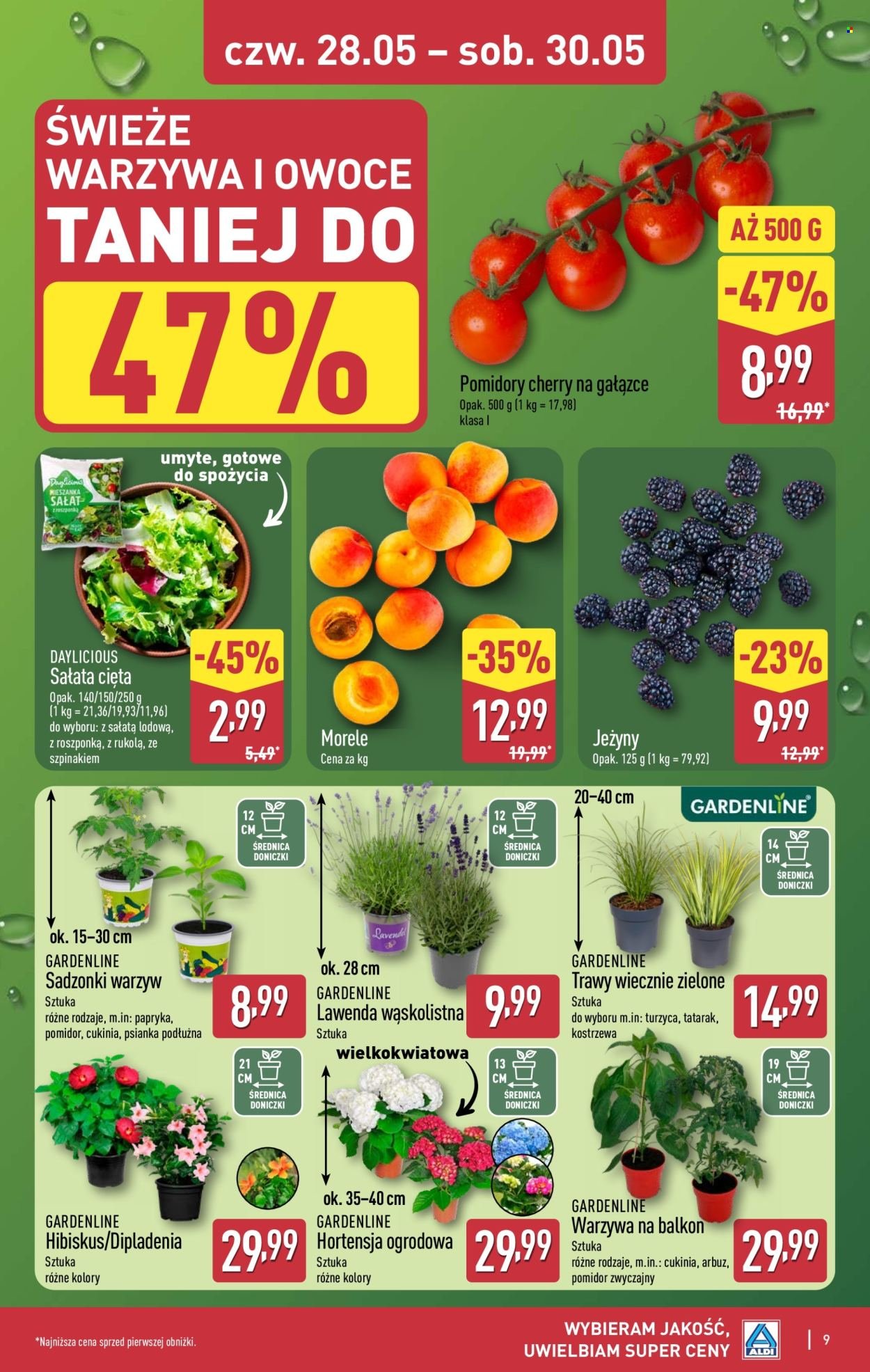 Gazetka ALDI - Oferta weekendowa