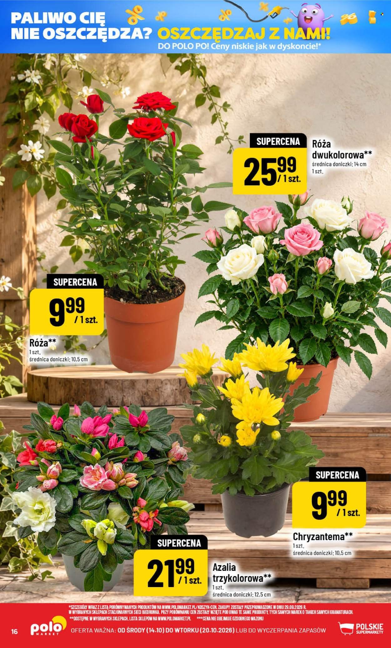 Gazetka POLOMARKET - Od środy 14.10.2026