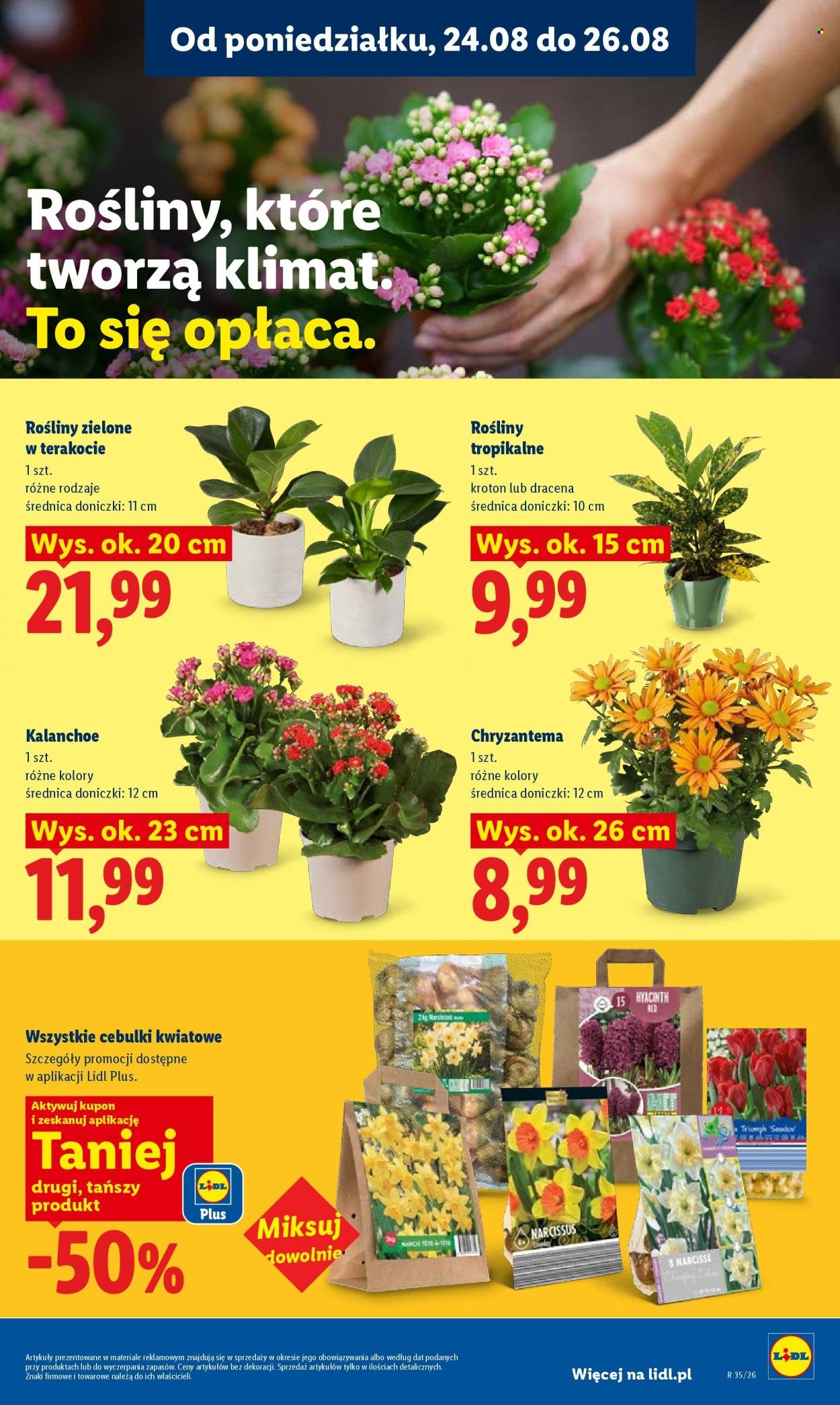 Gazetka LIDL - Od poniedziałku