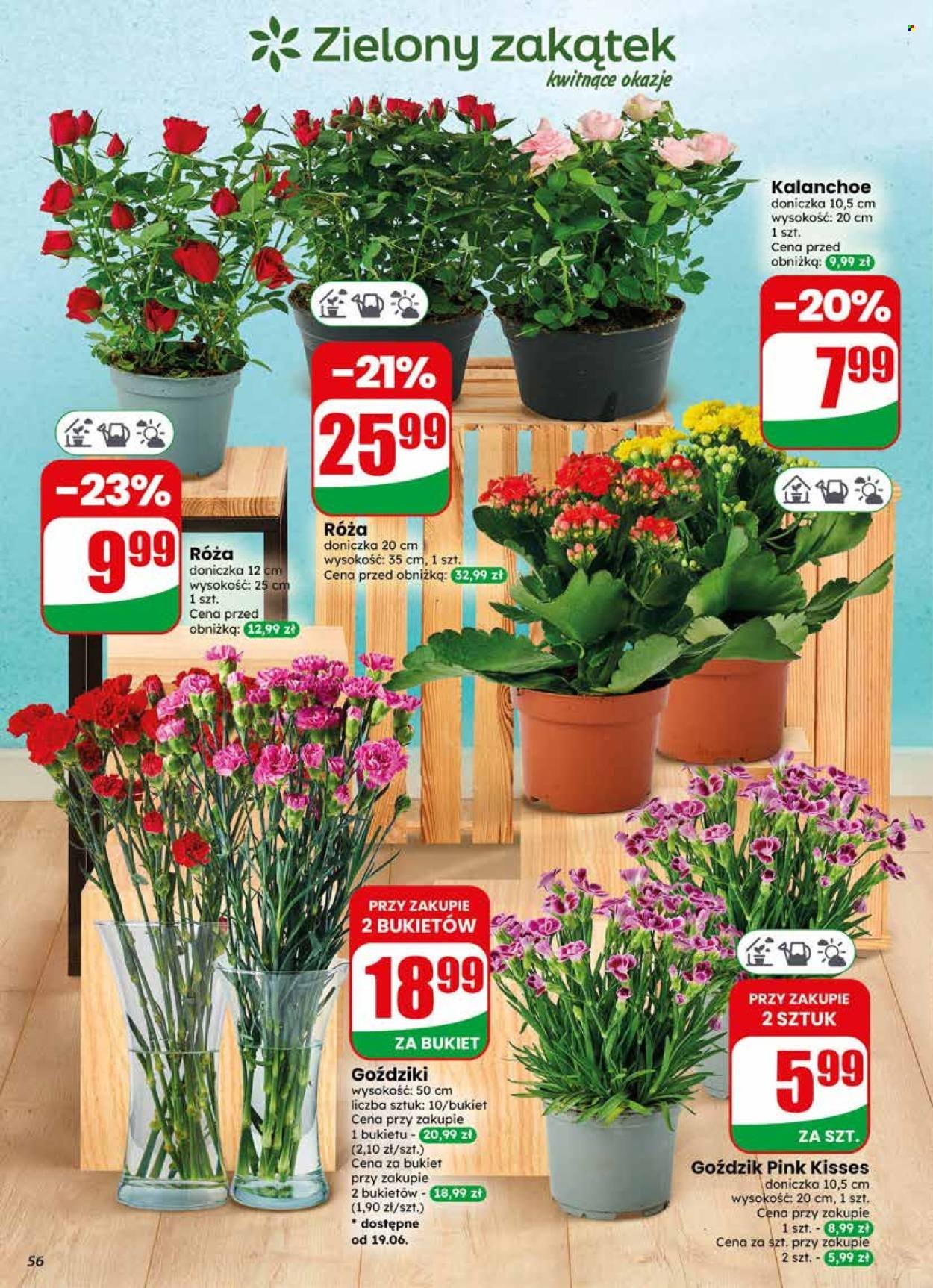 Gazetka DINO - Od środy 17.06.2026