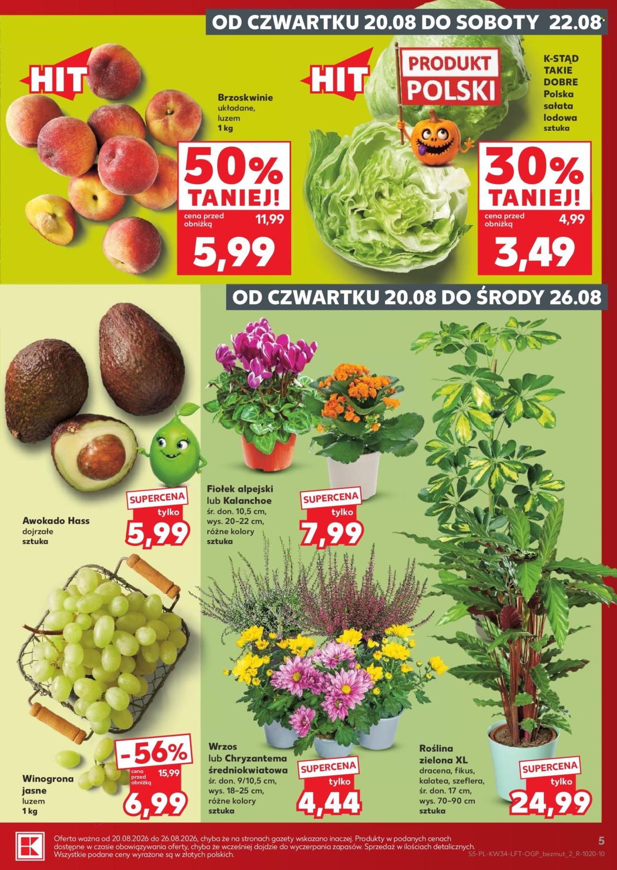 Gazetka KAUFLAND - Gazetka tygodnia