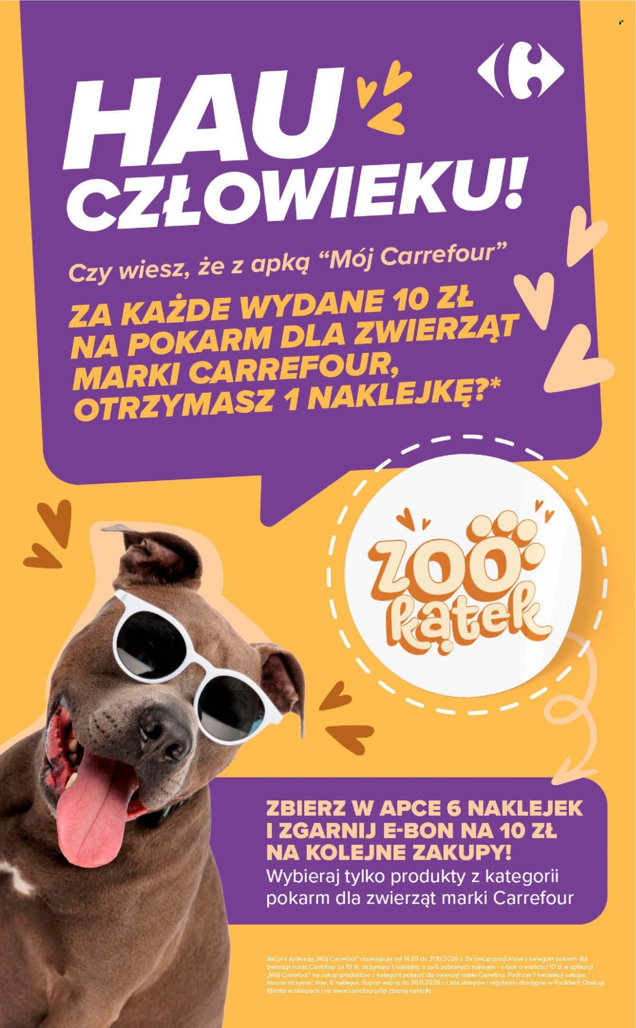 Gazetka CARREFOUR - Codziennie extra okazje
