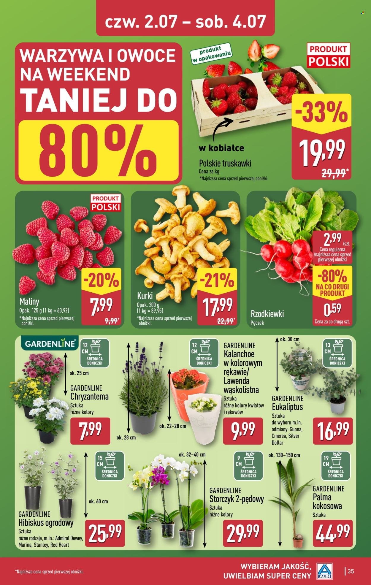 Gazetka ALDI - Od poniedziałku 29.06.2026