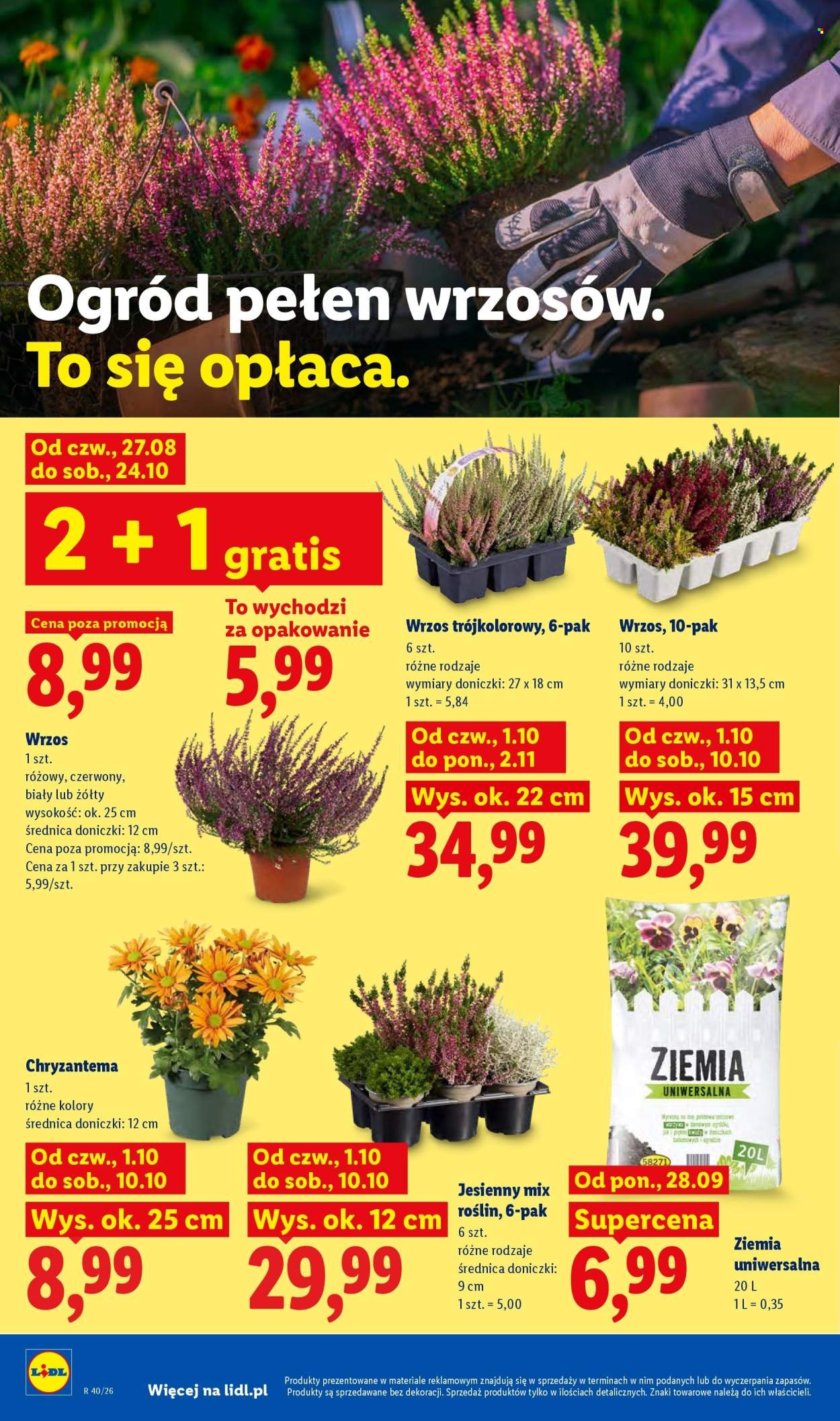Gazetka LIDL - Od czwartku