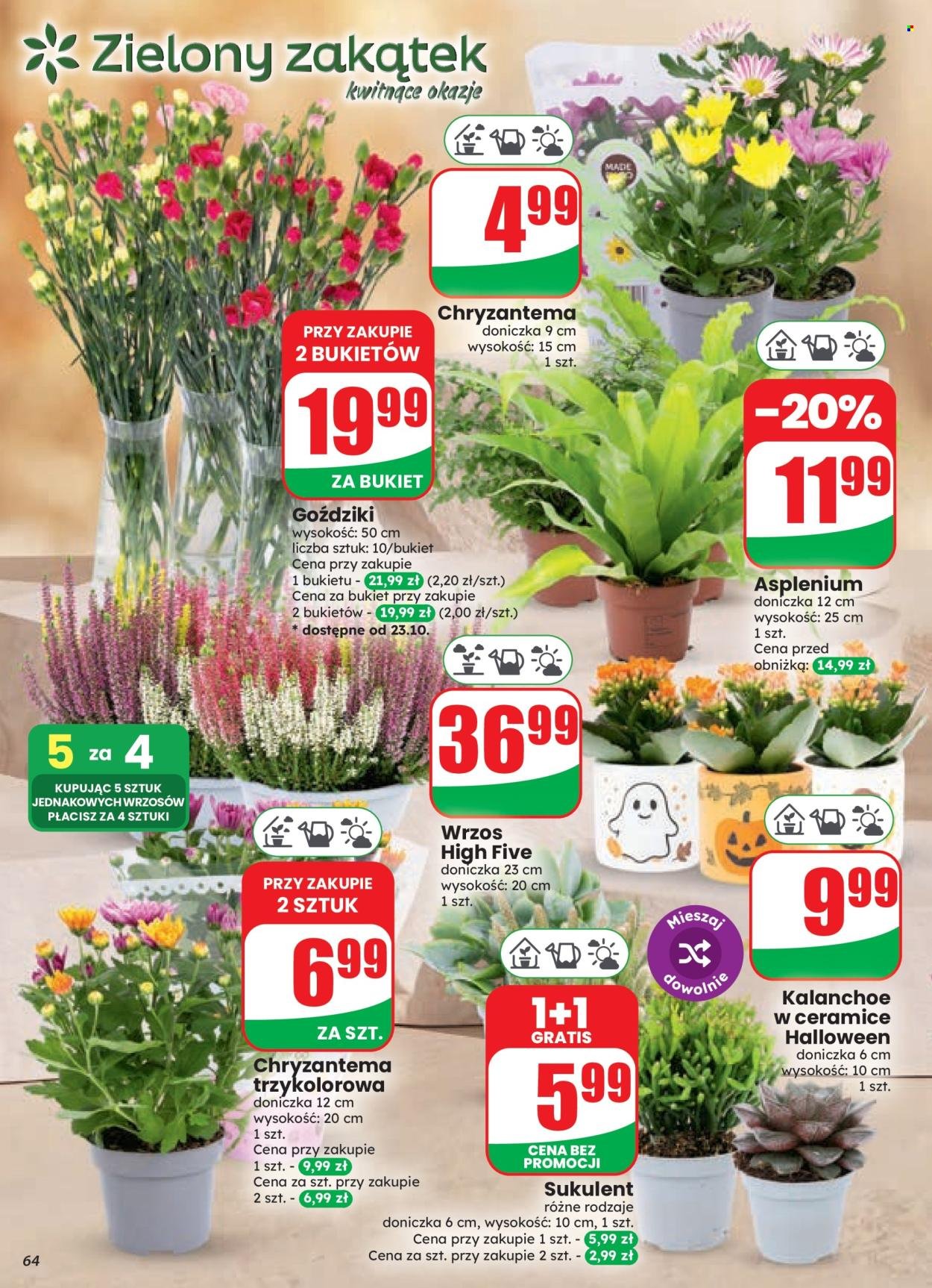 Gazetka DINO - Od środy 21.10.2026