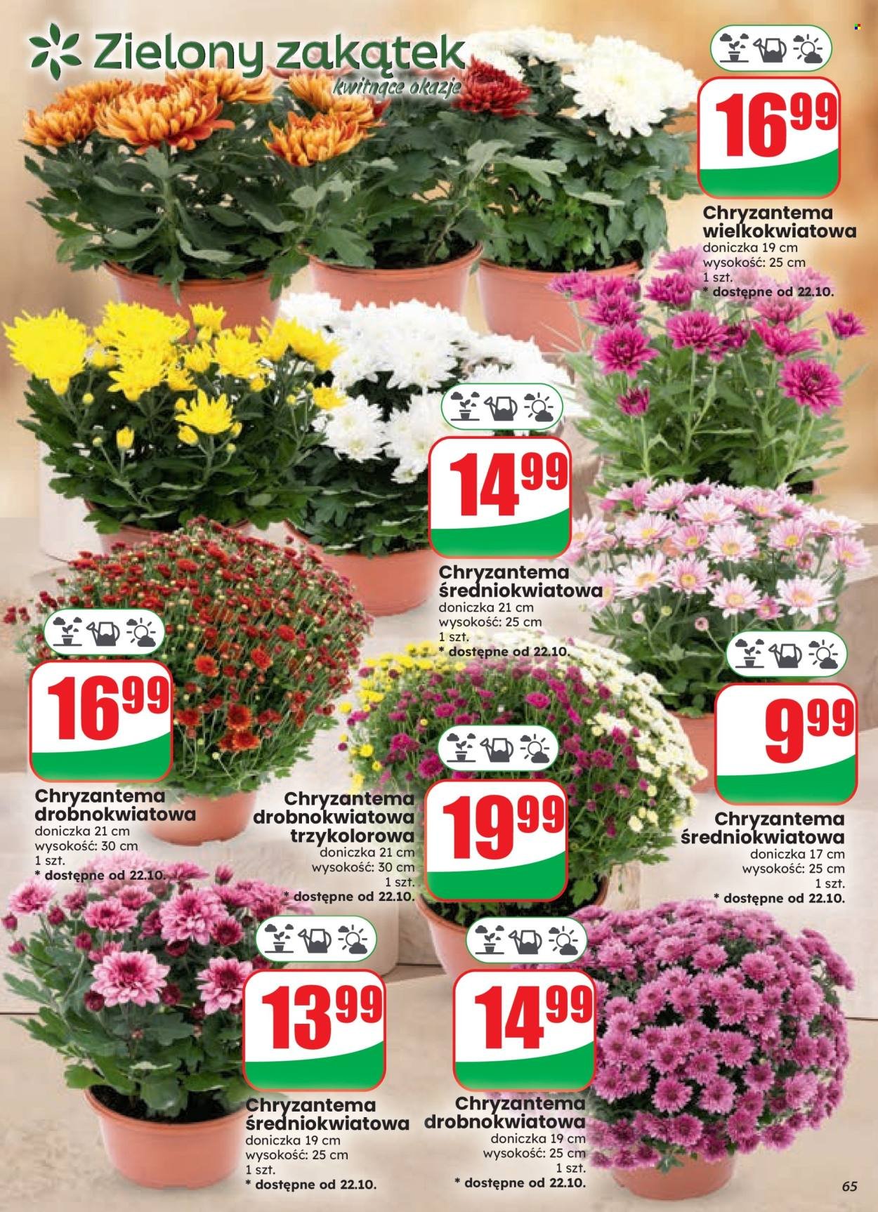 Gazetka DINO - Od środy 21.10.2026