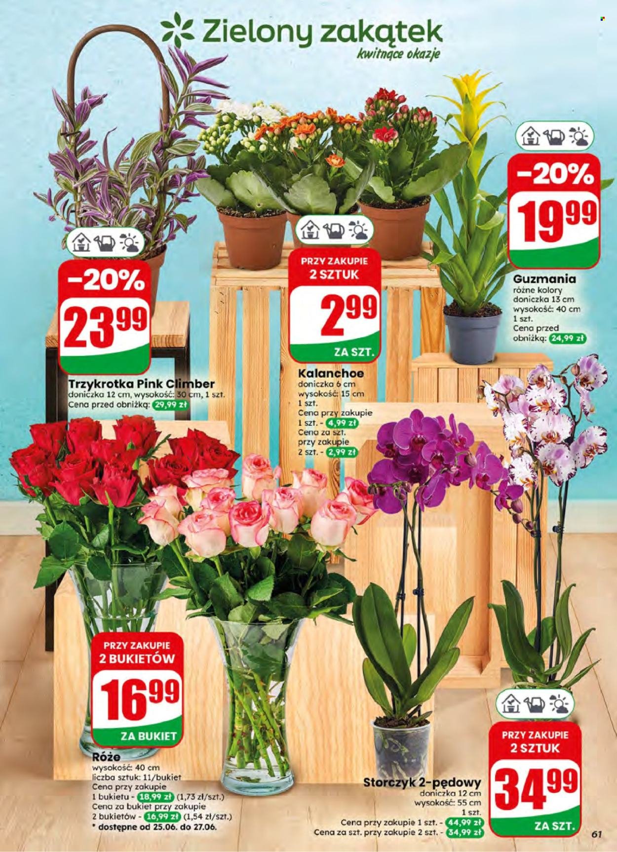 Gazetka DINO - Od środy 24.06.2026