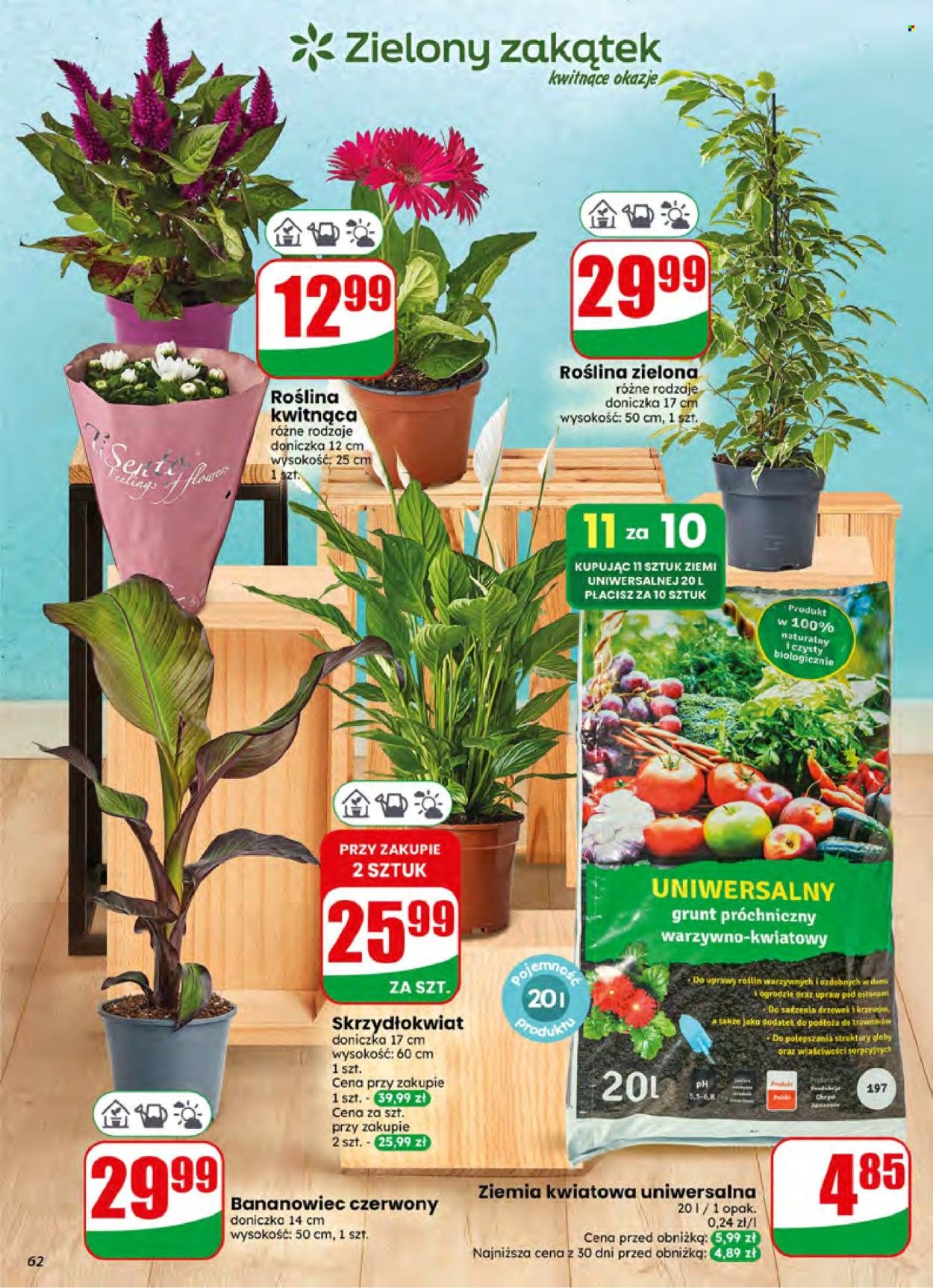 Gazetka DINO - Od środy 24.06.2026