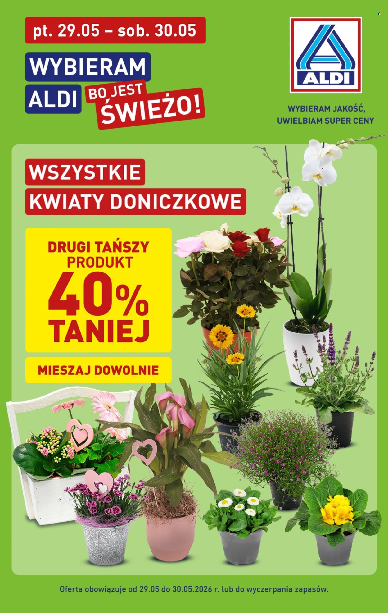 Gazetka ALDI - Oferta specjalna