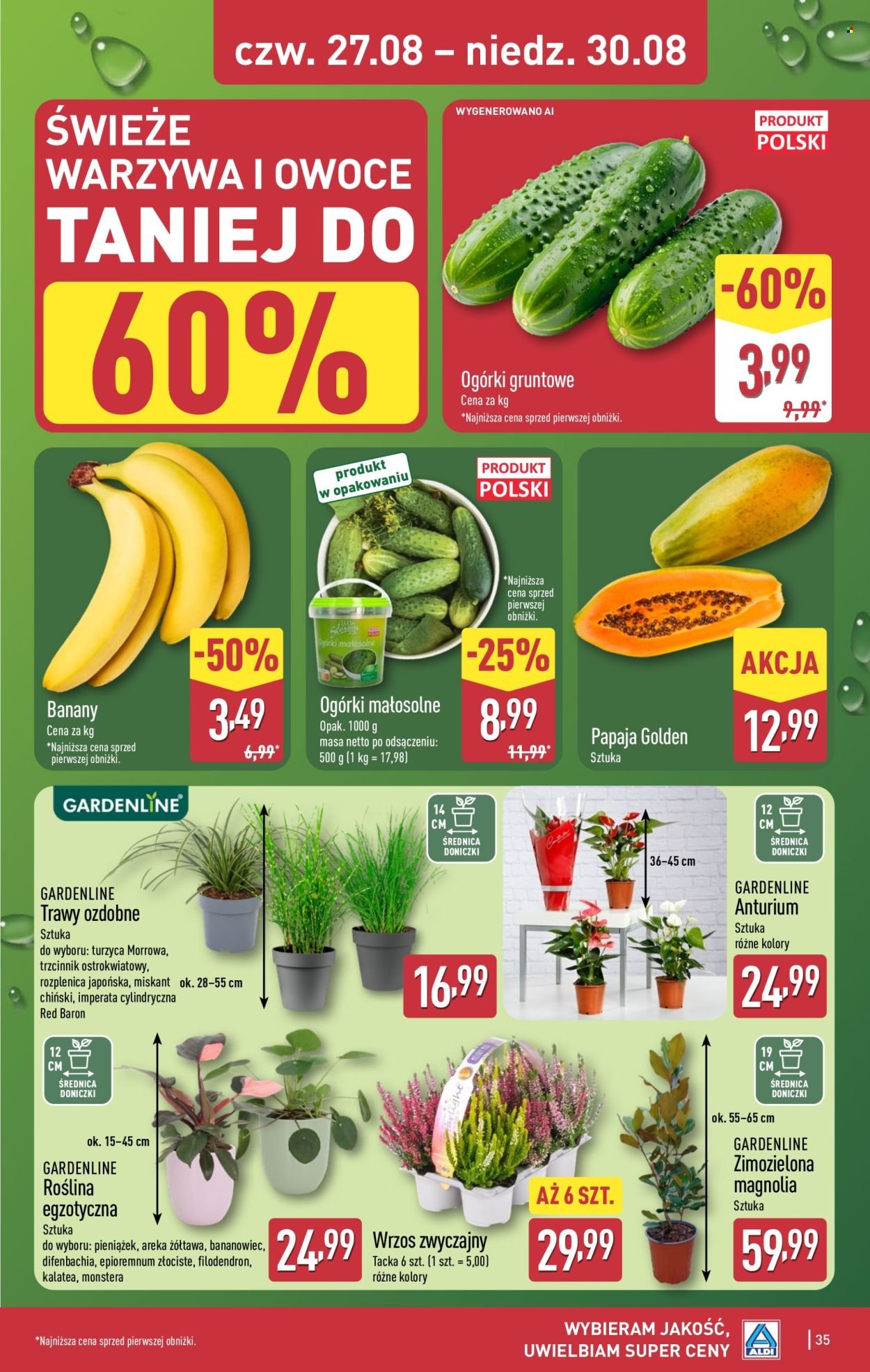 Gazetka ALDI - Pełna oferta