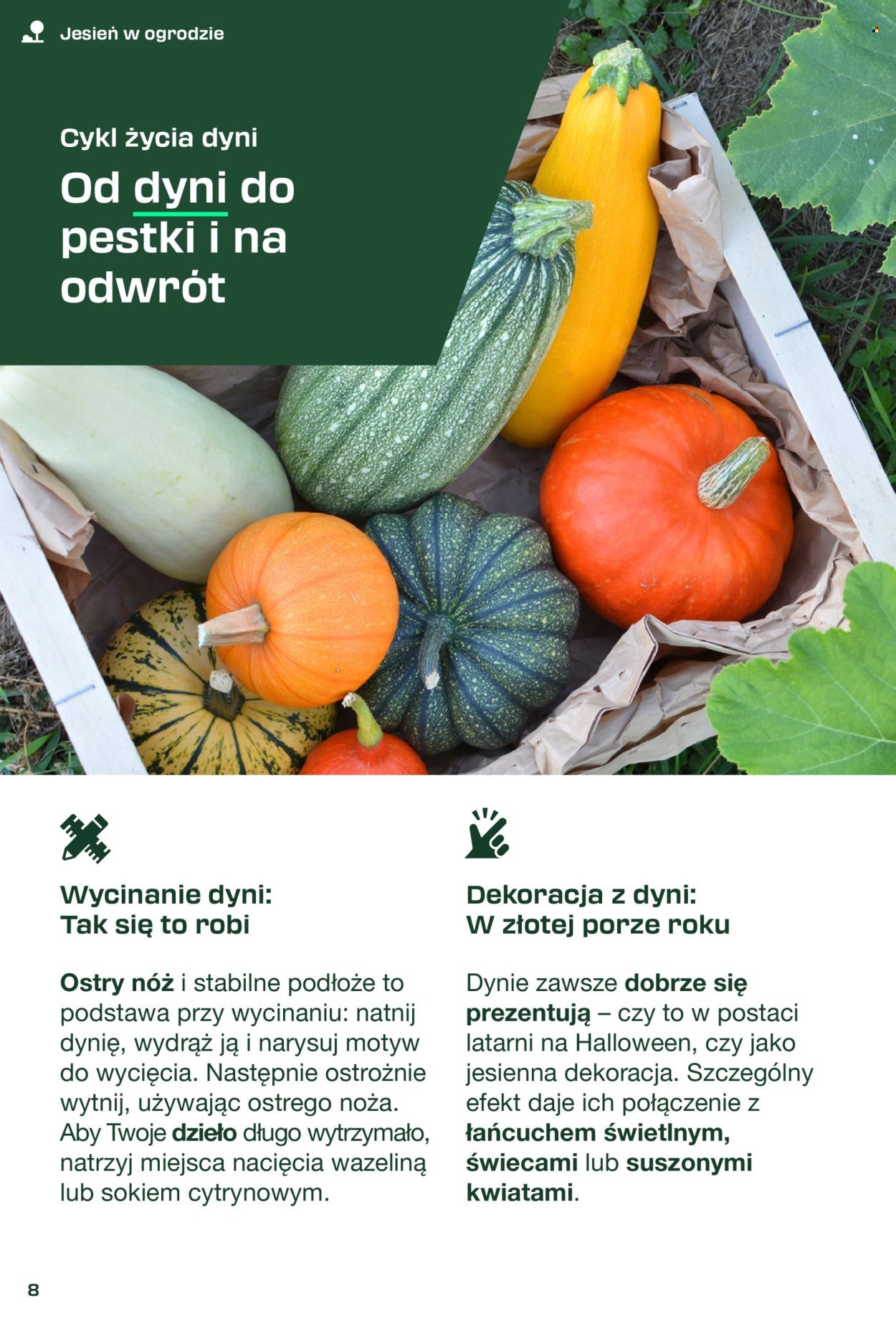 Gazetka KAUFLAND - Parkside