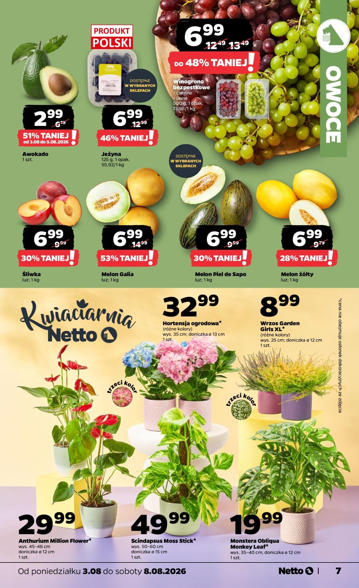 Gazetka NETTO - Od poniedziałku